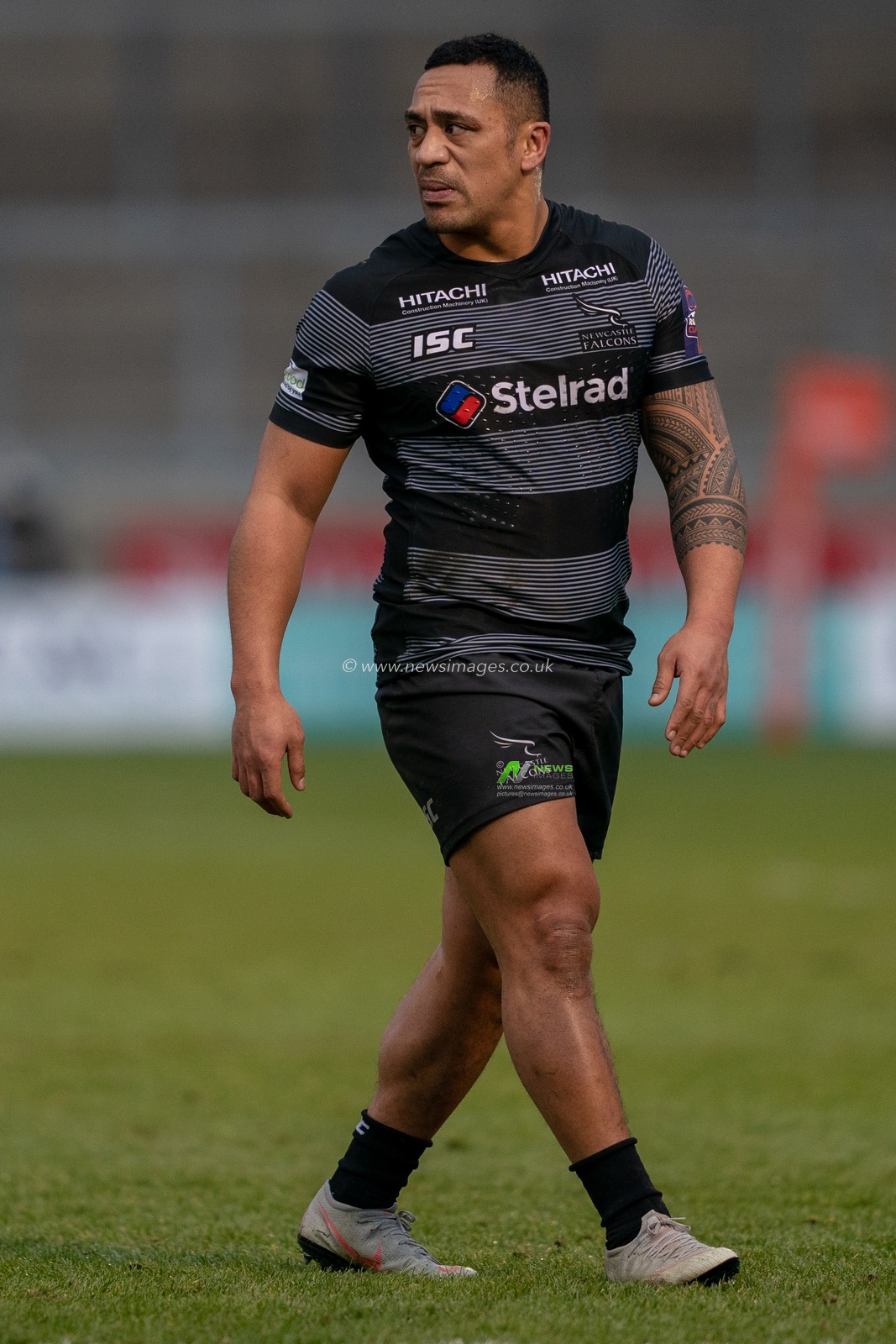 Newcastle Falcons's Sinoti Sinoti

3rd February 2019, A J Bell Stadium, Sale, England;  Premiership Rugby Cup, Sale Sharks vs Newcastle Falcons 

Credit: Terry Donnelly/News Images