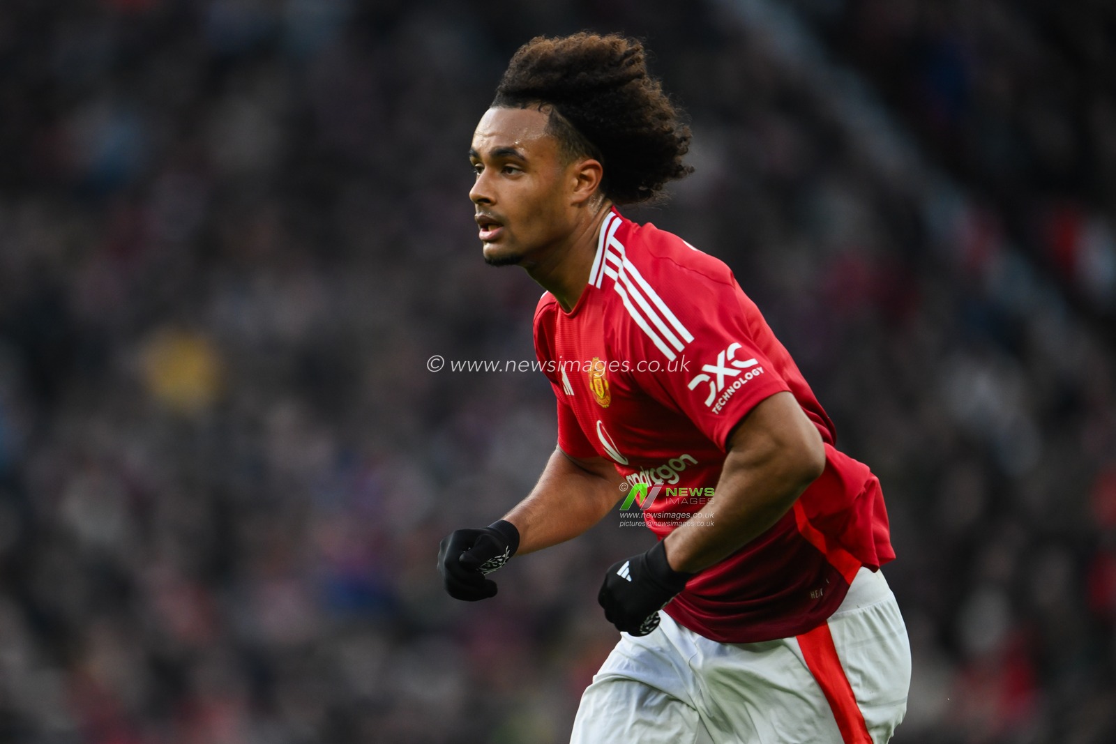 Joshua Zirkzee of Manchester United during the Premier League match Manchester United vs Bournemouth at Old Trafford, Manchester, United Kingdom, 22nd December 2024

(Photo by Craig Thomas/News Images)