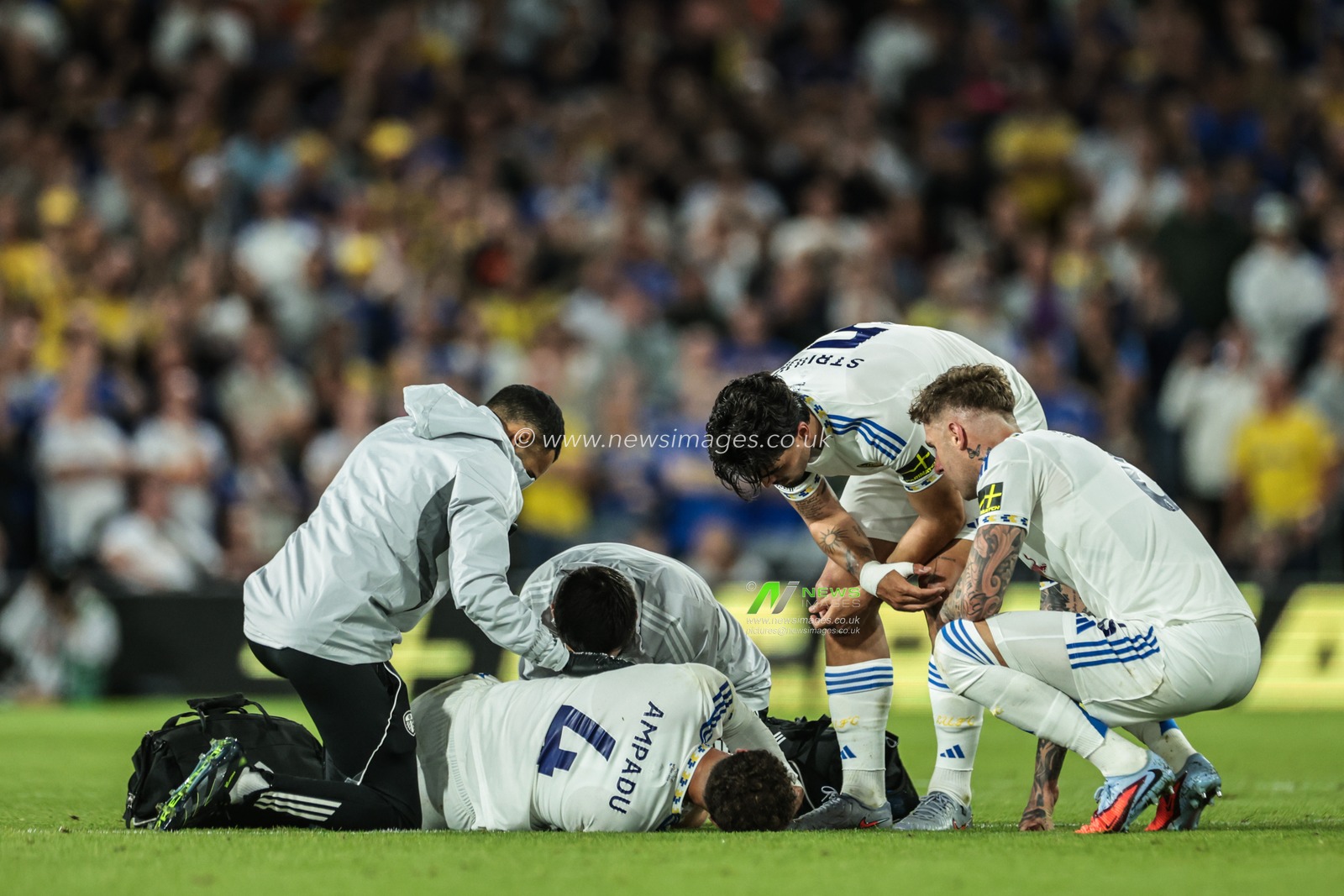Pascal Struijk of Leeds United and Joe Rodon of Leeds United check up on Ethan Ampadu of Leeds United as he takes a knock during the Premier League match Leeds United vs Everton at Elland Road, Leeds, United Kingdom, 18th August 2025

(Photo by Mark Cosgrove/News Images)