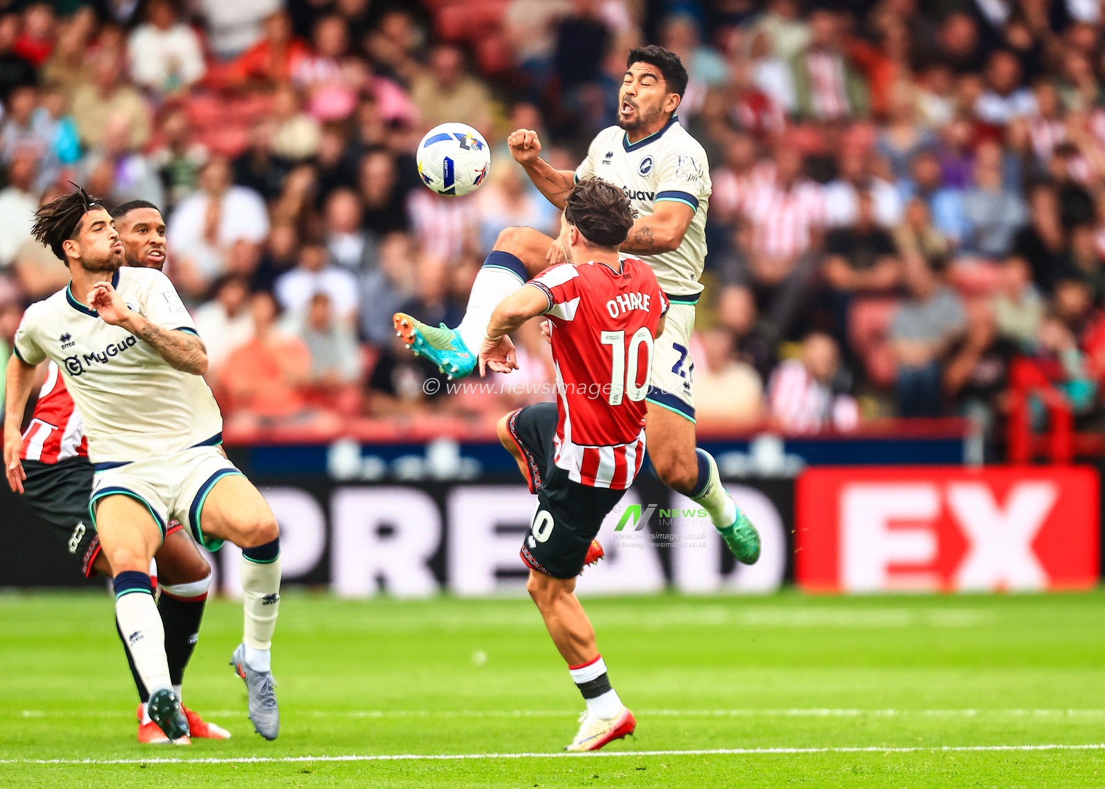 Massimo Luongo of Millwall and Callum O'Hare of Sheffield United battle for the ball during the Sky Bet Championship match Sheffield United vs Millwall at Bramall Lane, Sheffield, United Kingdom, 23rd August 2025

(Photo by Richard Bierton/News Images)