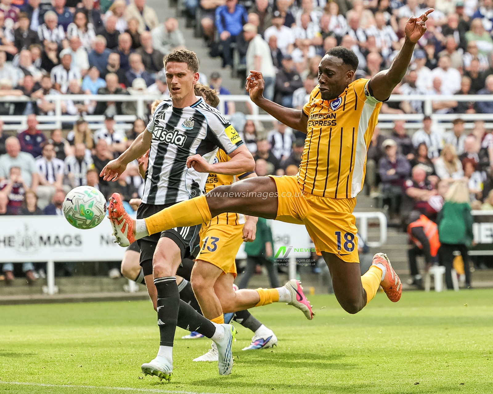 Danny Welbeck of Brighton & Hove Albion fails to connect with the ball in front go goal during the Premier League match Newcastle Untied vs Brighton & Hove Albion at St. James's Park, Newcastle, United Kingdom on 02 May 2026

(Photo by Mark Cosgrove/News Images)