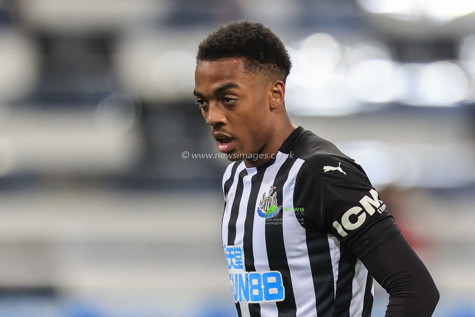 Joe Willock #28 of Newcastle United during the game