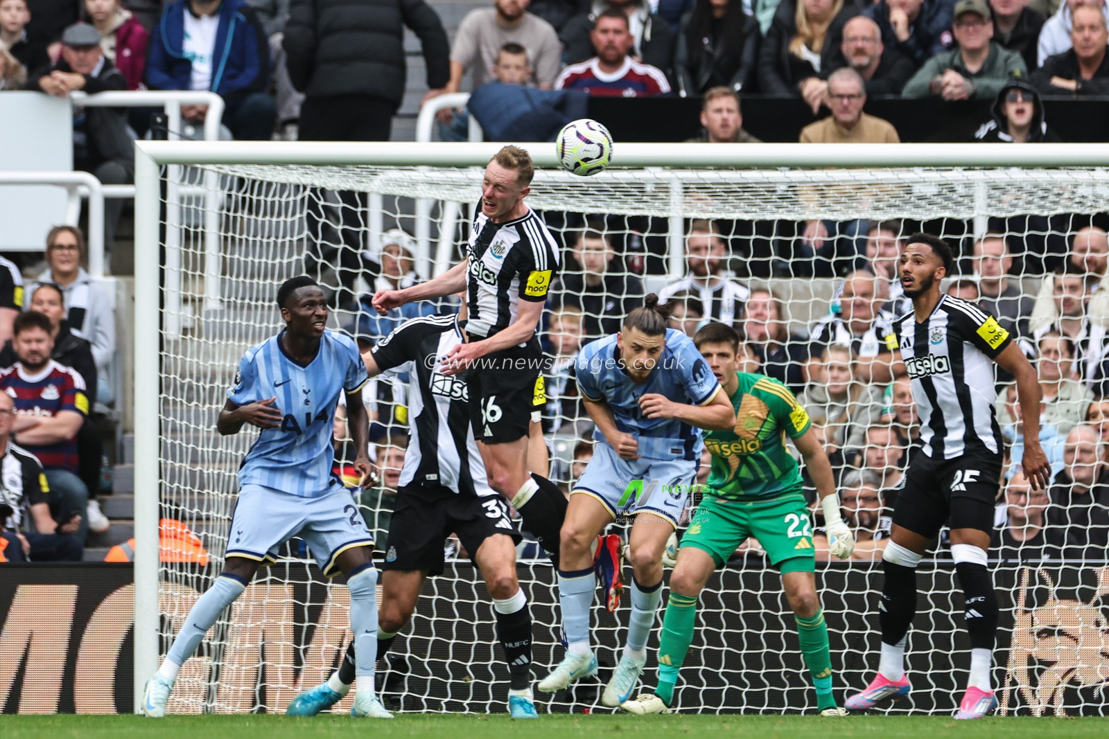 Sean Longstaff of Newcastle United heads the ball clear during the Premier League match Newcastle United vs Tottenham Hotspur at St. James's Park, Newcastle, United Kingdom, 1st September 2024

(Photo by Mark Cosgrove/News Images)