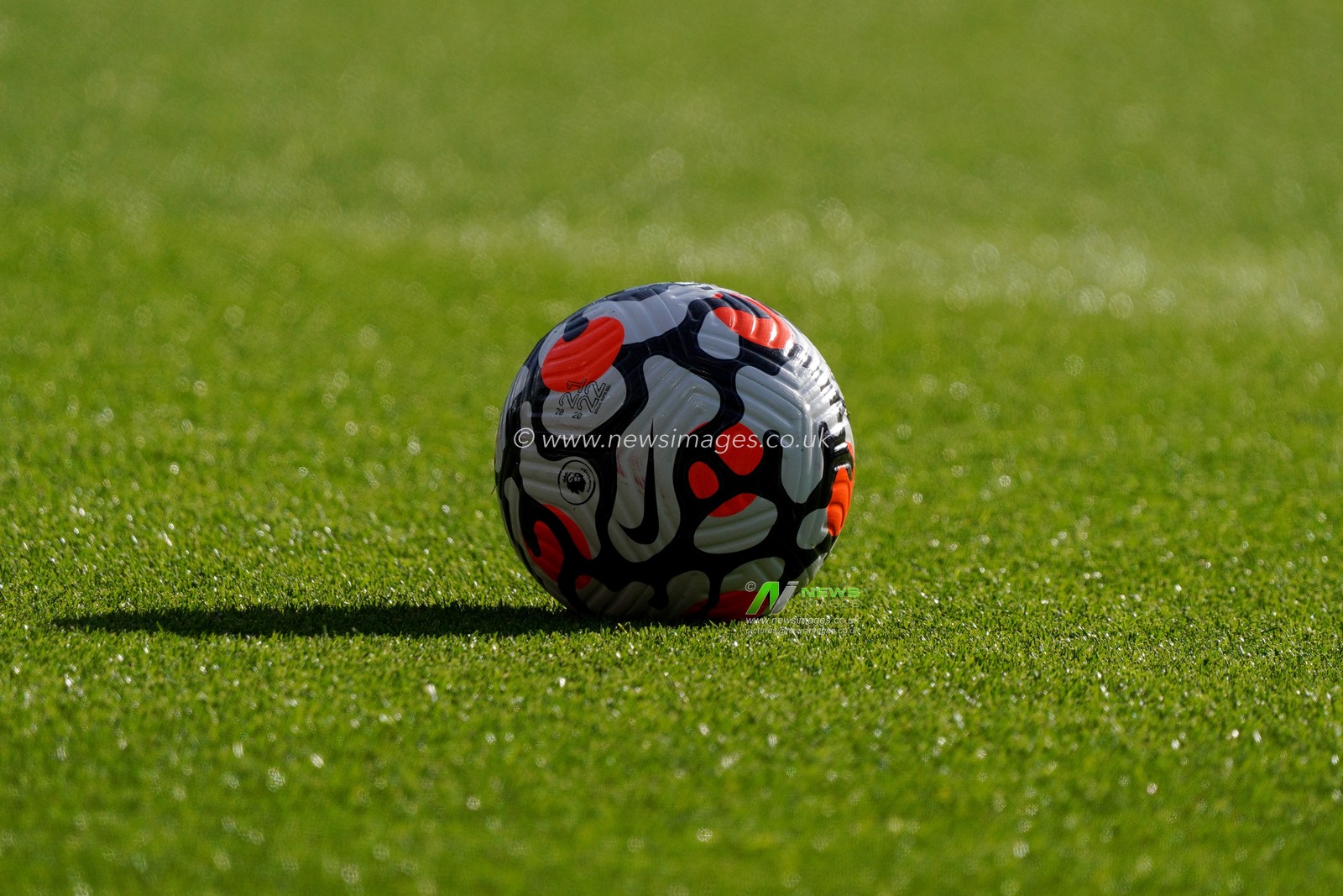Practise Ball , Watford are supporting Royal British Legions Poppy Appeal ahead of Remembrance Day