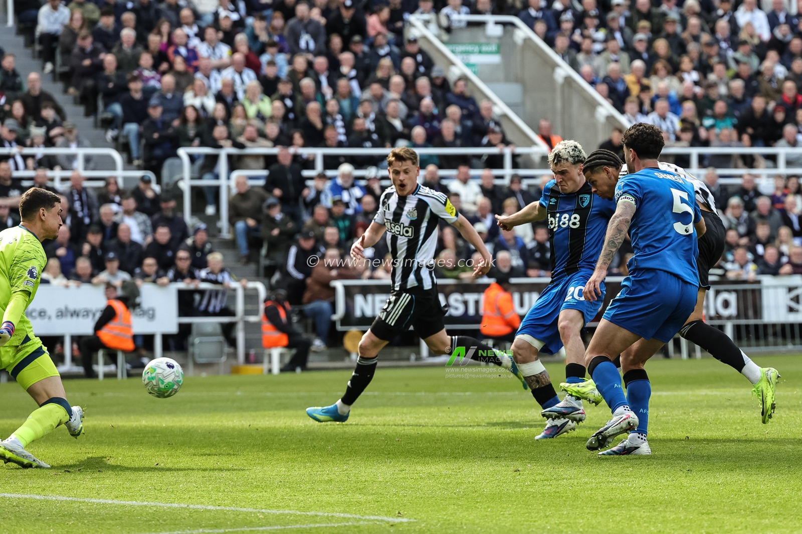 William Osula of Newcastle Untied scores to make it 1-1 during the Premier League match Newcastle Untied vs Bournemouth at St. James's Park, Newcastle, United Kingdom on 18 April 2026

(Photo by Mark Cosgrove/News Images)