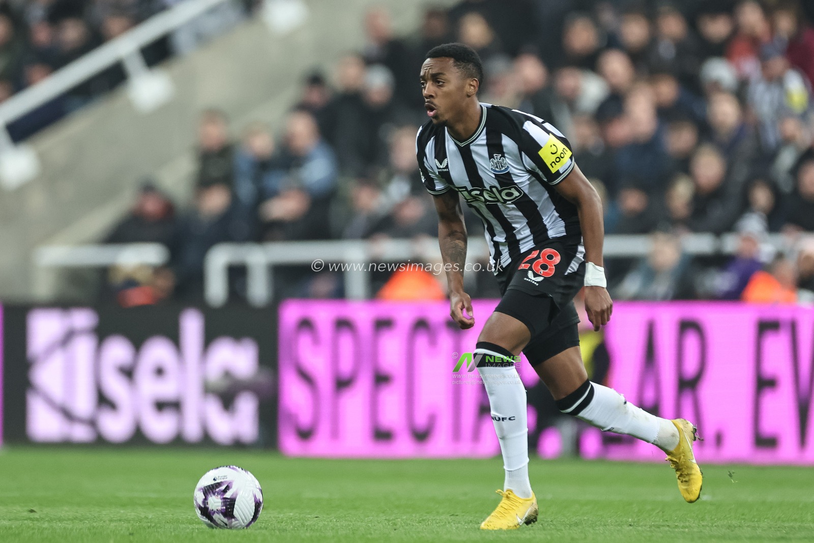 Joe Willock of Newcastle United with the ball during the Premier League match Newcastle United vs Everton at St. James's Park, Newcastle, United Kingdom, 2nd April 2024

(Photo by Mark Cosgrove/News Images)