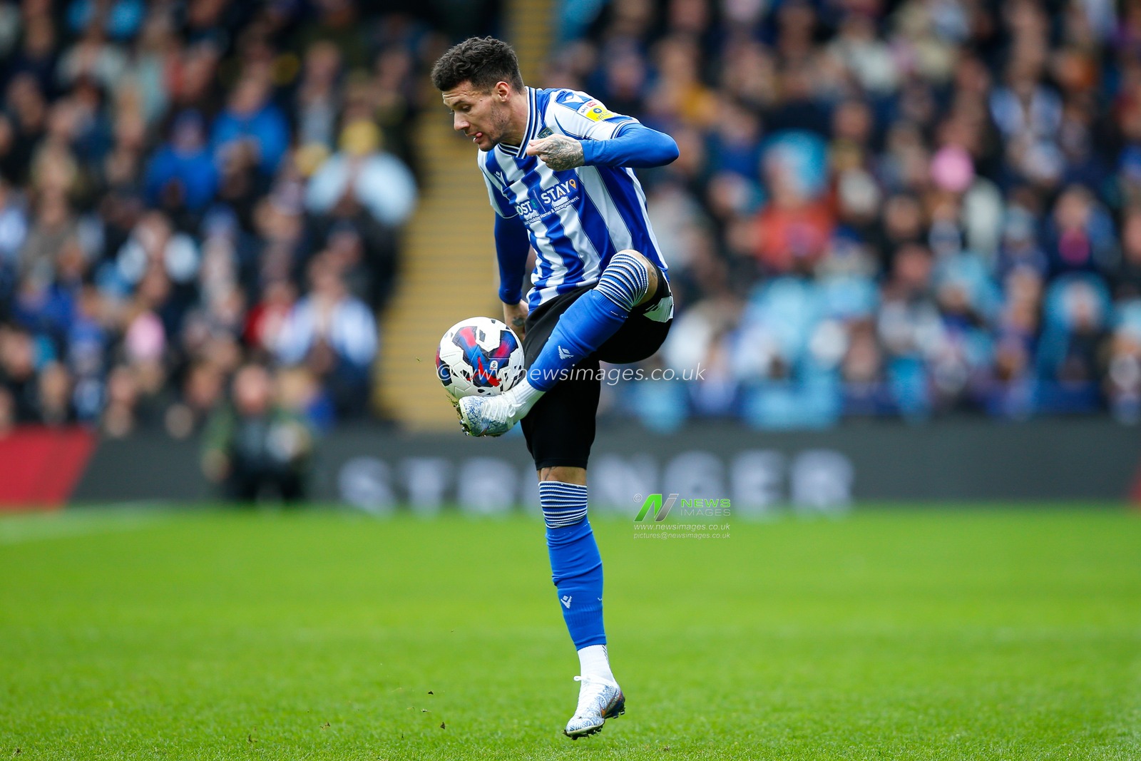 Marvin Johnson #18 of Sheffield Wednesday during the Sky Bet League 1 match Sheffield Wednesday vs Lincoln City at Hillsborough, Sheffield, United Kingdom, 1st April 2023

(Photo by Ben Early/News Images)