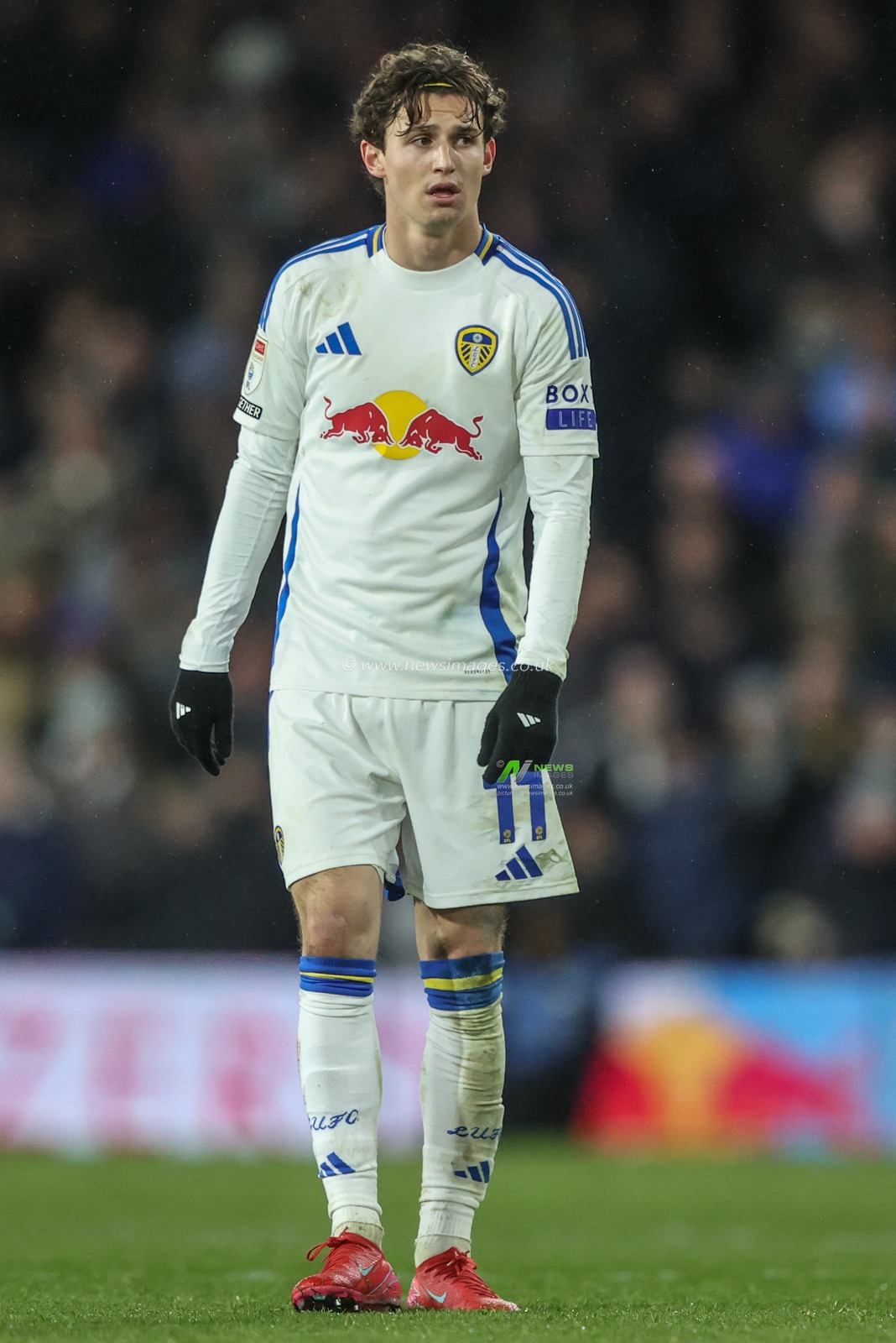 Brenden Aaronson of Leeds United during the Sky Bet Championship match Leeds United vs Millwall at Elland Road, Leeds, United Kingdom, 12th March 2025

(Photo by Alfie Cosgrove/News Images)