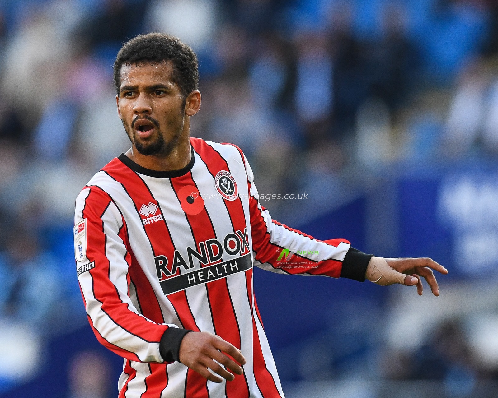 Iliman Ndiaye #29 of Sheffield United during the Sky Bet Championship match Cardiff City vs Sheffield United at Cardiff City Stadium, Cardiff, United Kingdom, 12th November 2022

(Photo by Mike Jones/News Images)