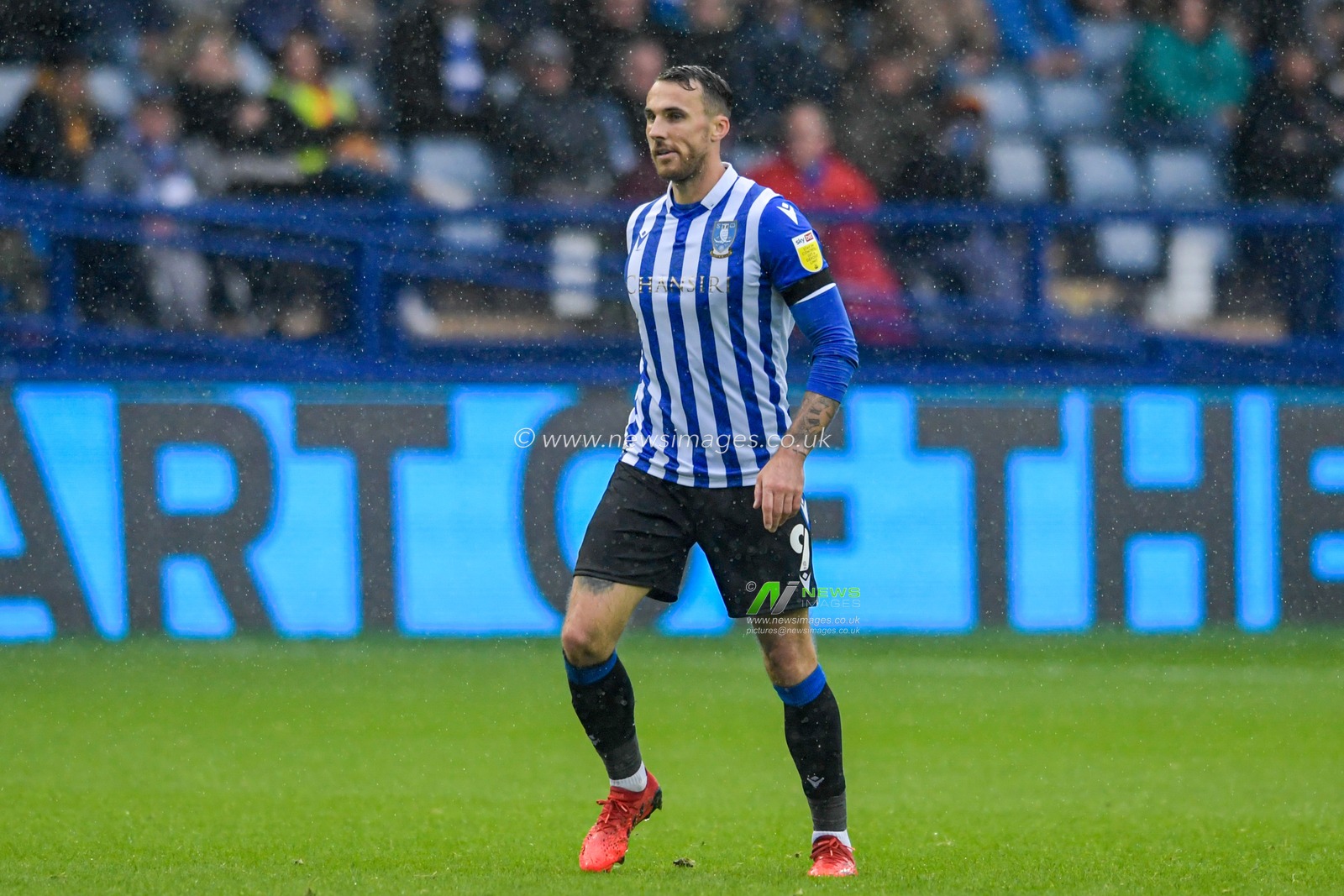 Lee Gregory #9 of Sheffield Wednesday in action during the game