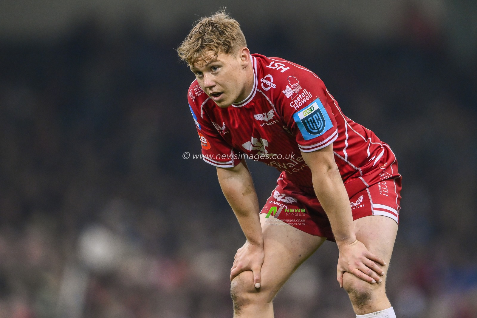 Sam Costelow of Scarlets takes a breather during the United Rugby Championship match Dragons Rugby vs Llanelli Scarlets at Principality Stadium, Cardiff, United Kingdom, 22nd April 2023

(Photo by Craig Thomas/News Images)