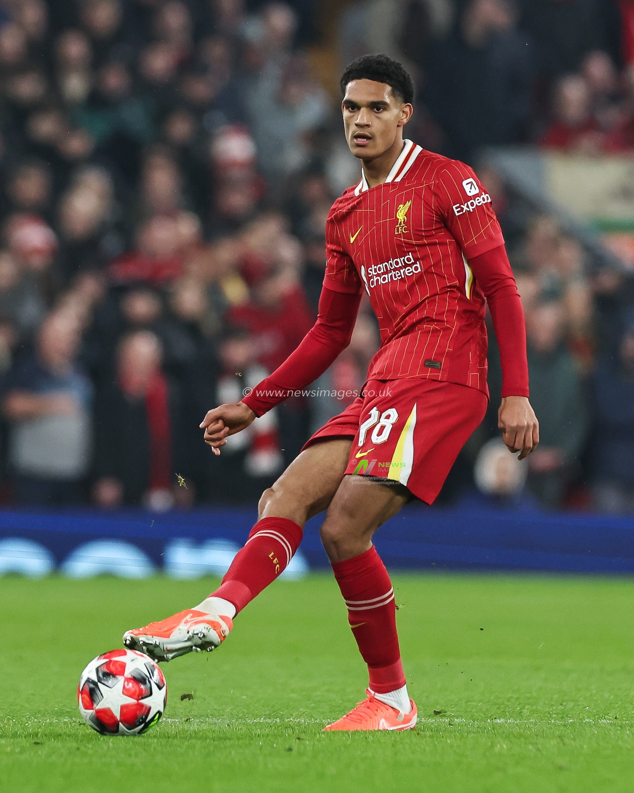 Jarell Quansah of Liverpool passes the ball during the UEFA Champions League - League Stage Liverpool v Lille at Anfield, Liverpool, United Kingdom, 21st January 2025

(Photo by Mark Cosgrove/News Images)