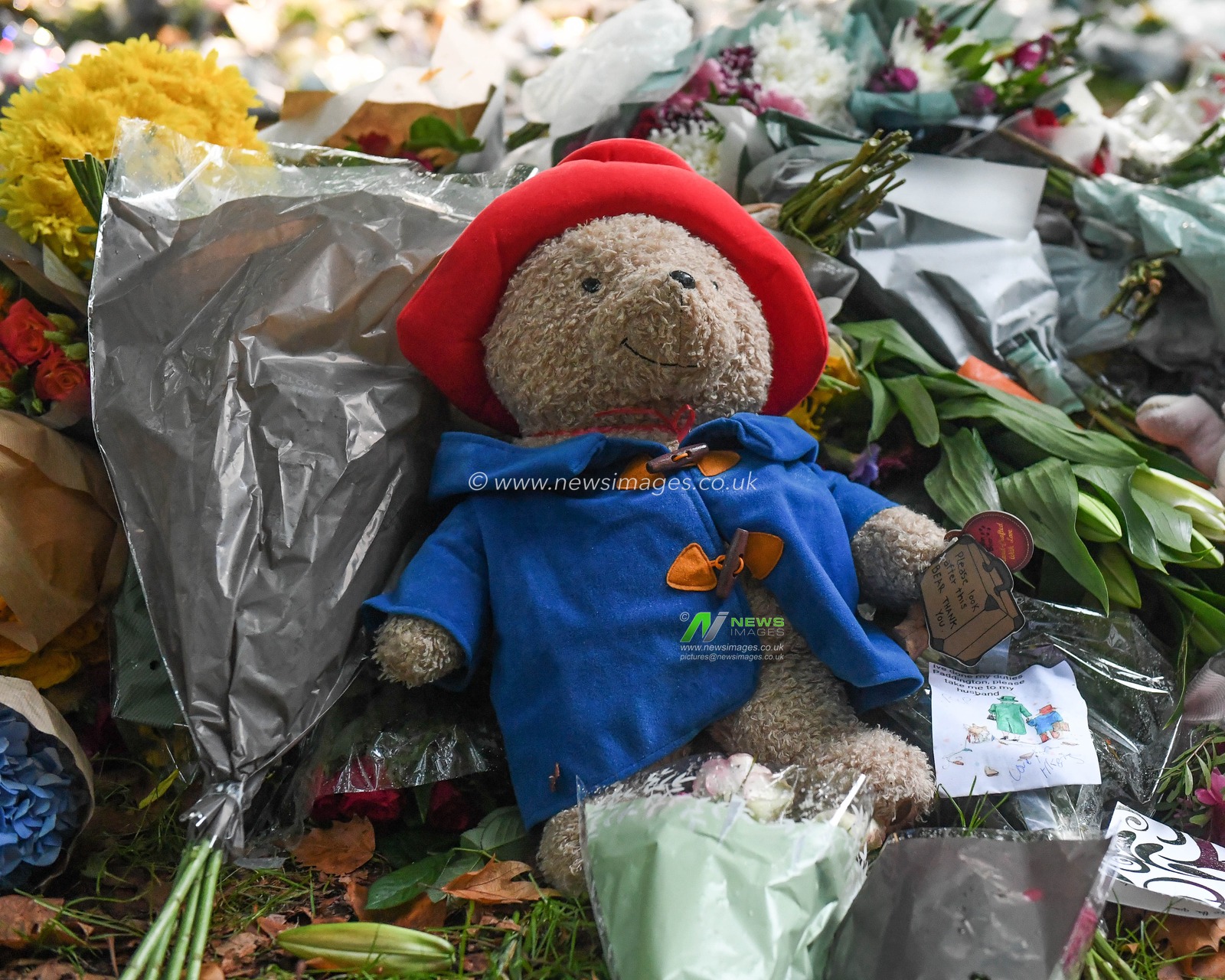 Paddington Bear Tribute in The Green Park
Day 2 Queens death at Buckingham Palace, London, United Kingdom, 10th September 2022

(Photo by Mike Jones/News Images)