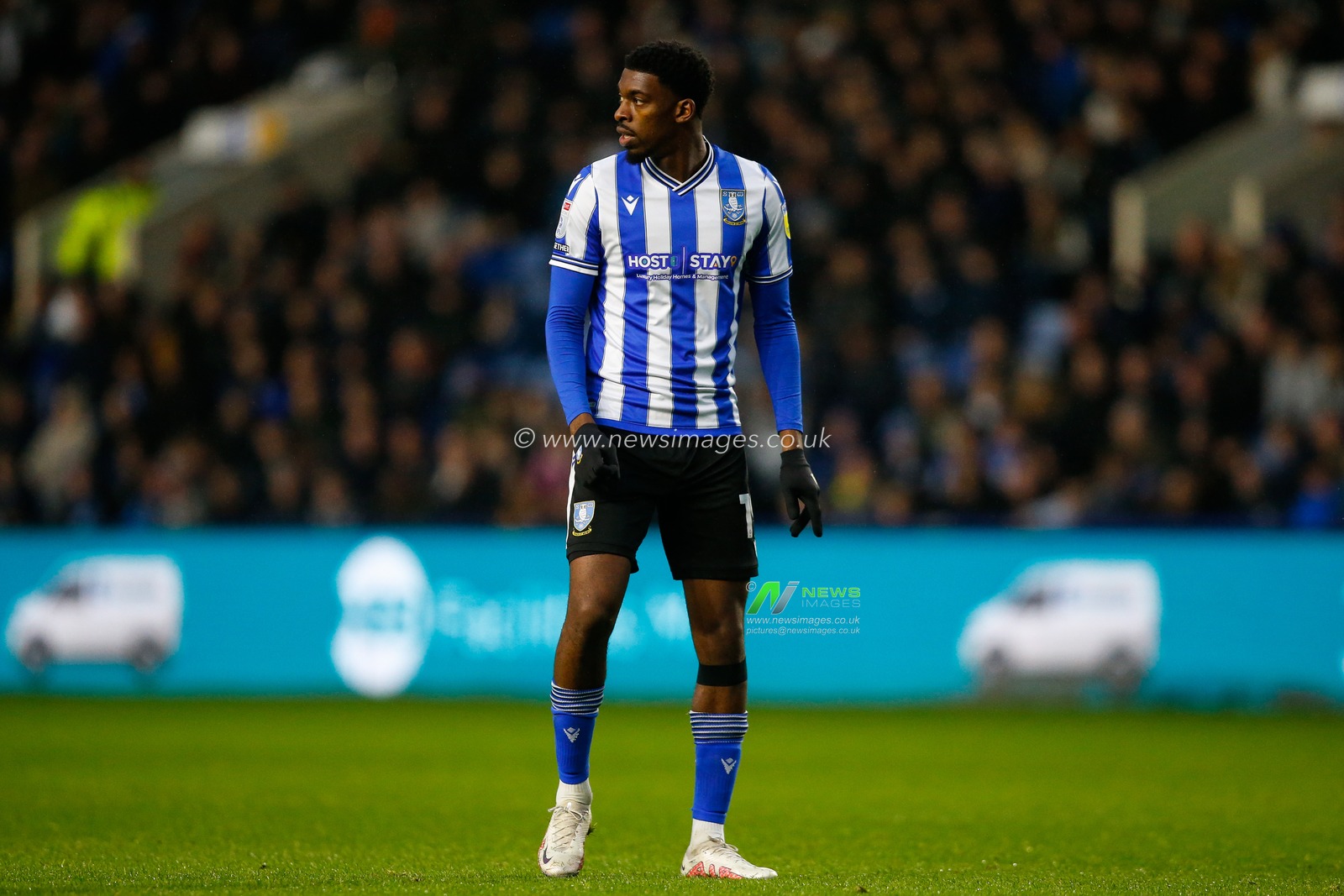 Tyreeq Bakinson #19 of Sheffield Wednesday during the Sky Bet League 1 match Sheffield Wednesday vs Shrewsbury Town at Hillsborough, Sheffield, United Kingdom, 19th November 2022

(Photo by Ben Early/News Images)