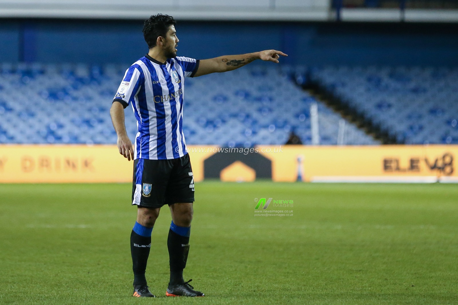 Massimo Luongo #21 of Sheffield Wednesday gives his team instructions during the game