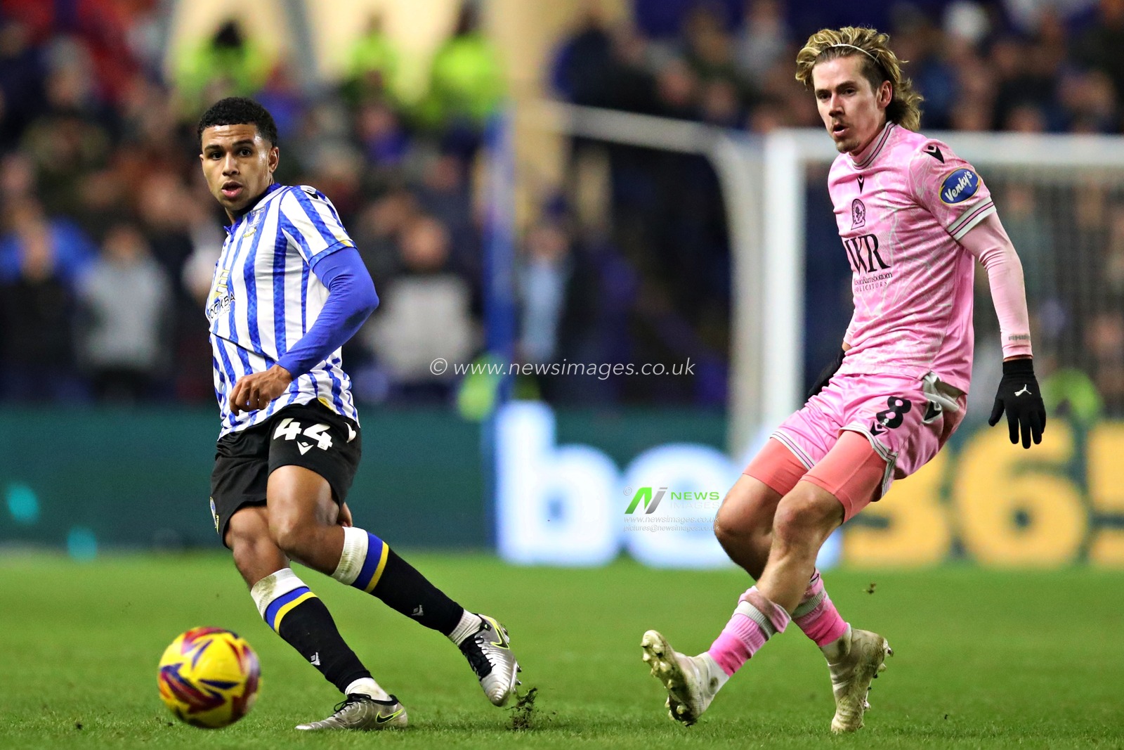 Shea Charles of Sheffield Wednesday is pressured by Todd Cantwell of Blackburn Rovers during the Sky Bet Championship match Sheffield Wednesday vs Blackburn Rovers at Hillsborough, Sheffield, United Kingdom, 10th December 2024

(Photo by Sam Eaden/News Images)
