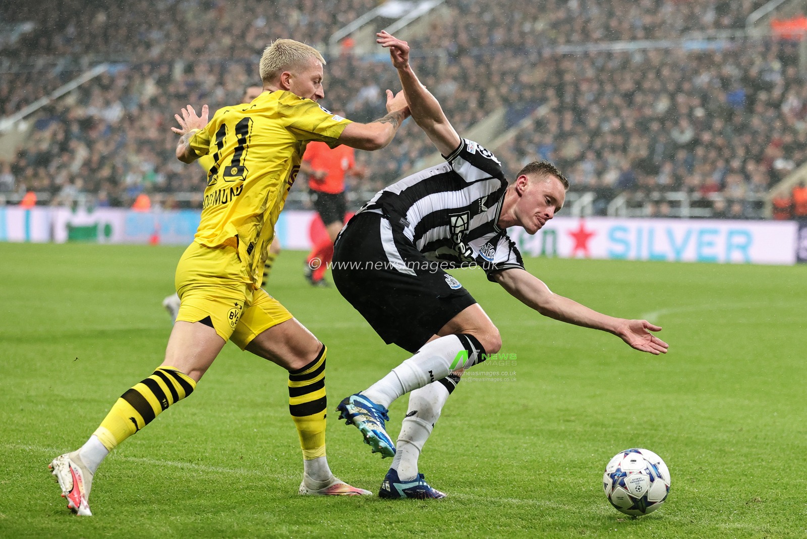 Sean Longstaff #36 of Newcastle United and Marco Reus #11 of Borussia Dortmund battle for the ball during the UEFA Champions League match Newcastle United vs Borussia Dortmund at St. James's Park, Newcastle, United Kingdom, 25th October 2023

(Photo by Mark Cosgrove/News Images)