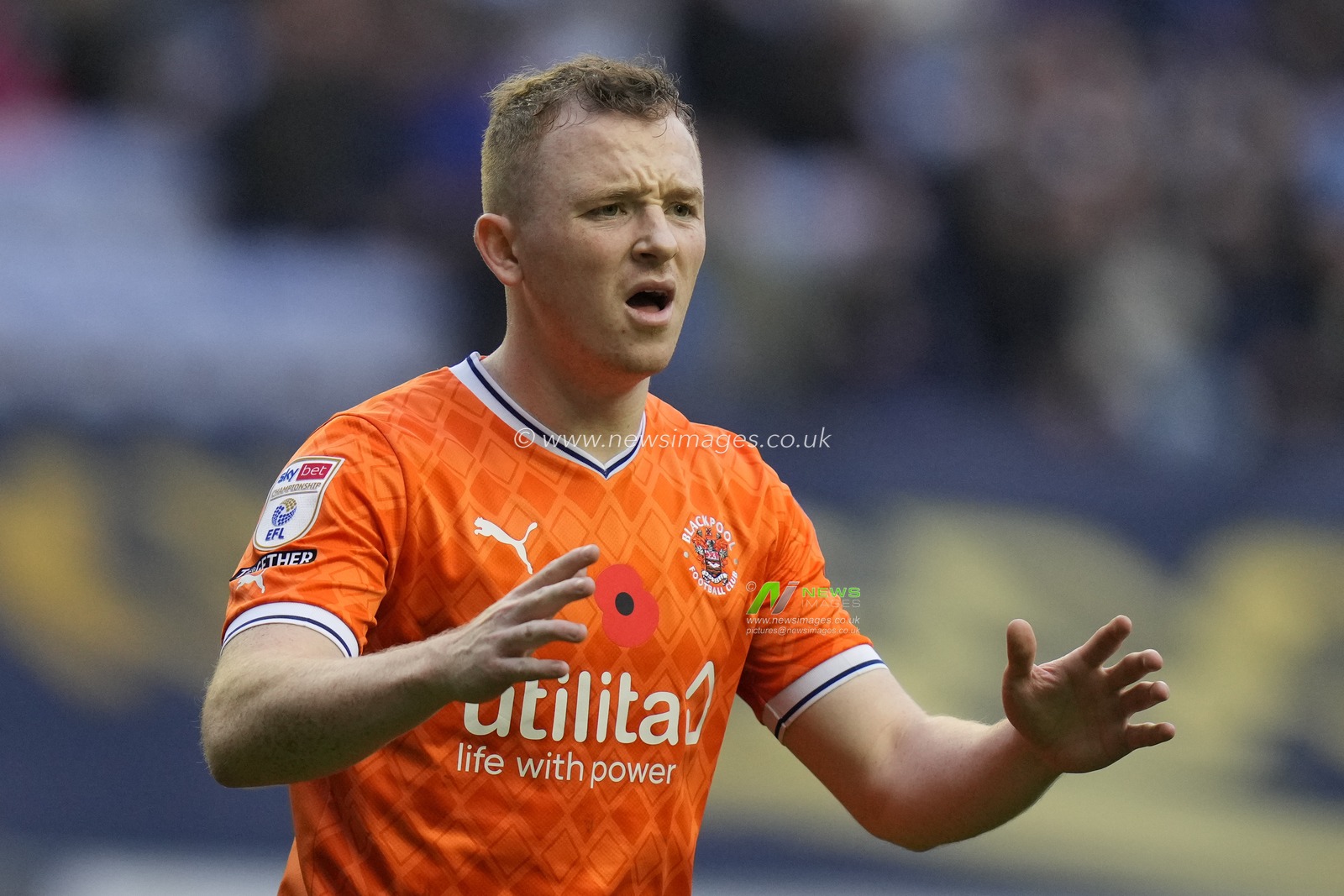 Shayne Lavery #19 of Blackpool during the Sky Bet Championship match Wigan Athletic vs Blackpool at DW Stadium, Wigan, United Kingdom, 12th November 2022

(Photo by Steve Flynn/News Images)