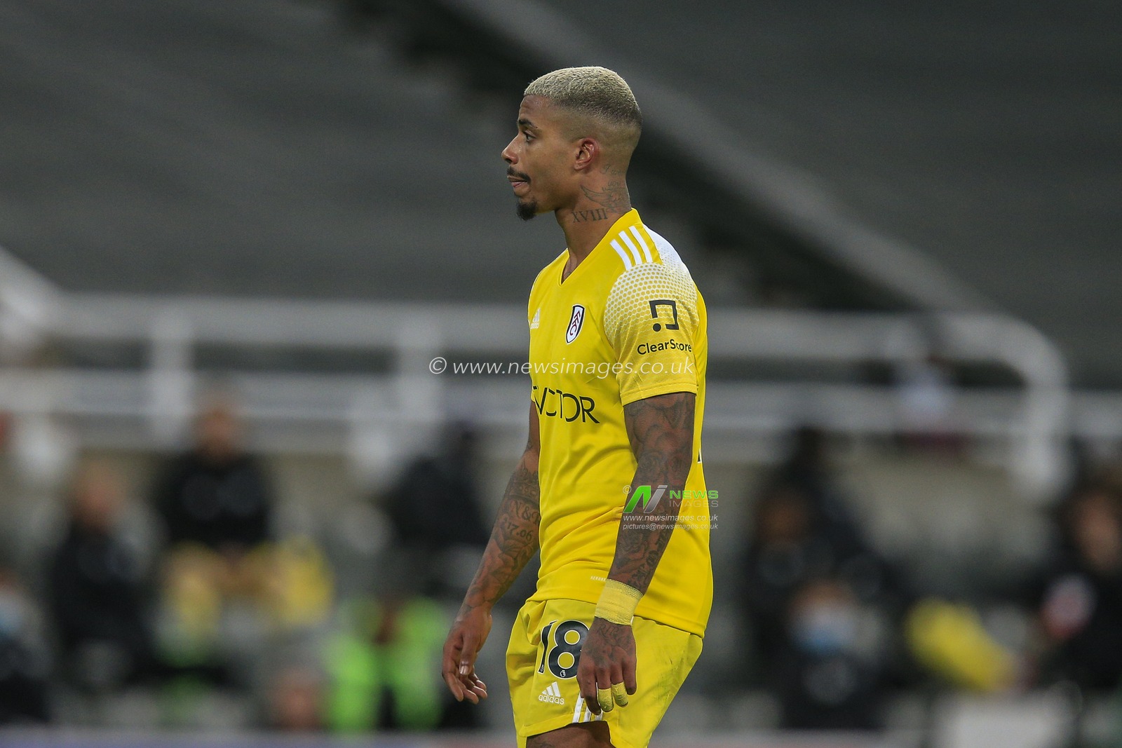 Mario Lemina #18 of Fulham during the game