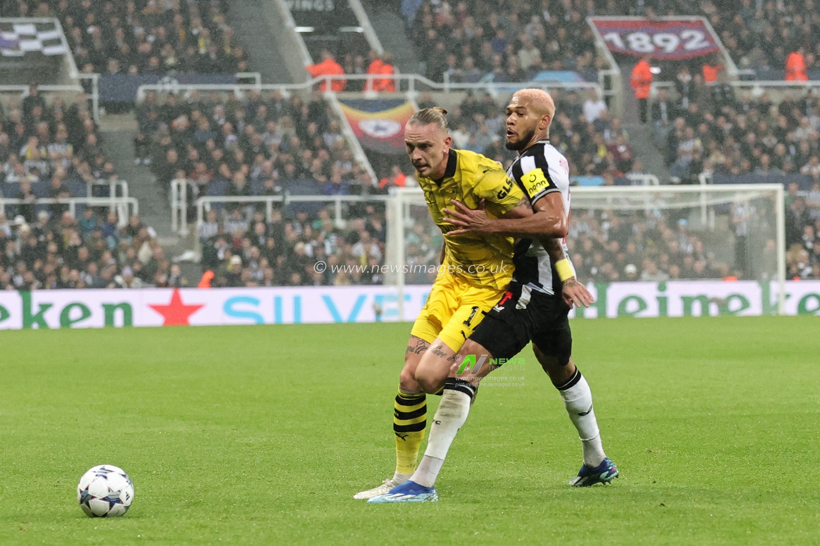 Marius Wolf #17 of Borussia Dortmund and Joelinton #7 of Newcastle United battle for the ball during the UEFA Champions League match Newcastle United vs Borussia Dortmund at St. James's Park, Newcastle, United Kingdom, 25th October 2023

(Photo by Mark Cosgrove/News Images)