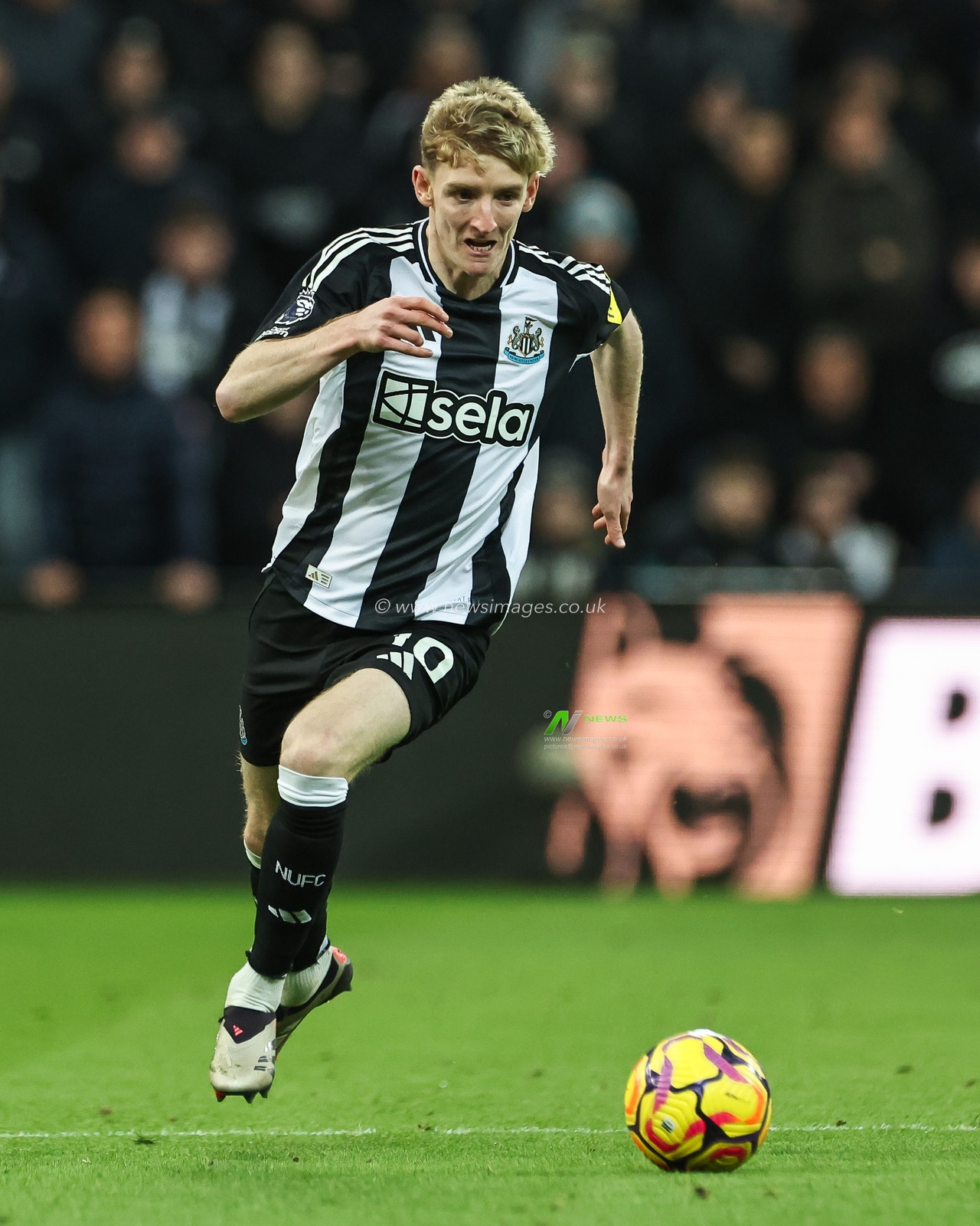 Anthony Gordon of Newcastle United makes a break with the ball during the Premier League match Newcastle United vs West Ham United at St. James's Park, Newcastle, United Kingdom, 25th November 2024

(Photo by Mark Cosgrove/News Images)