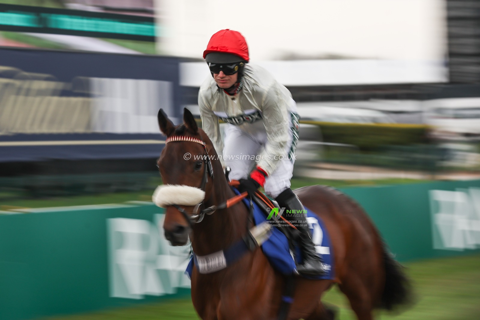 Chianti Classico ridden by David Bass rides out ahead of the 1:45pm Huyton Asphalt Franny Blennerhassett Memorial Mildmay Novicesâ€™ Steeple Chase (Class 1) during the The Randox Grand National 2024 Ladies Day at Aintree Racecourse, Liverpool, United Kingdom, 12th April 2024

(Photo by Mark Cosgrove/News Images)