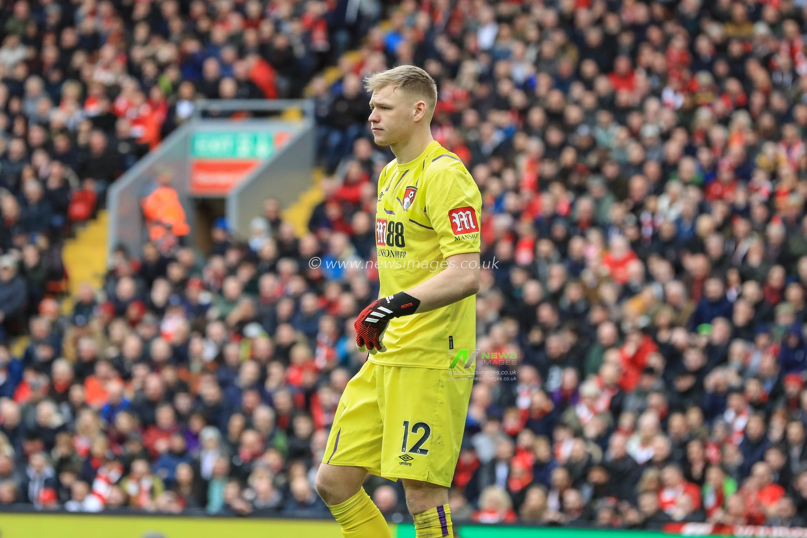 7th March 2020, Anfield, Liverpool, England; Premier League, Liverpool v Bournemouth : Bournemouth goalkeeper Aaron Ramsdale during the game