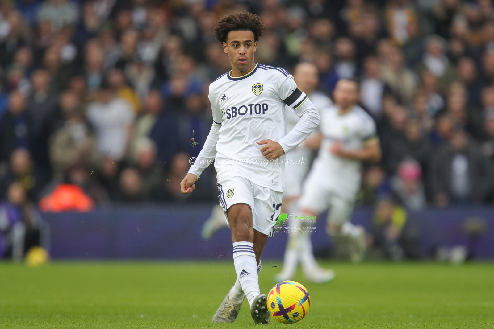 Tyler Adams #12 of Leeds United passes the ball during the Premier League match Leeds United vs Manchester United at Elland Road, Leeds, United Kingdom, 12th February 2023

(Photo by James Heaton/News Images)