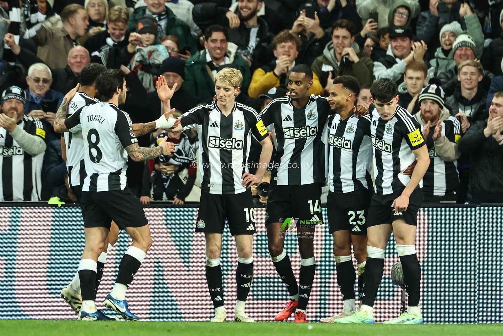 Jacob Murphy of Newcastle United celebrates his goal to make it 4-0 during the Premier League match Newcastle United vs Leicester City at St. James's Park, Newcastle, United Kingdom, 14th December 2024

(Photo by Mark Cosgrove/News Images)