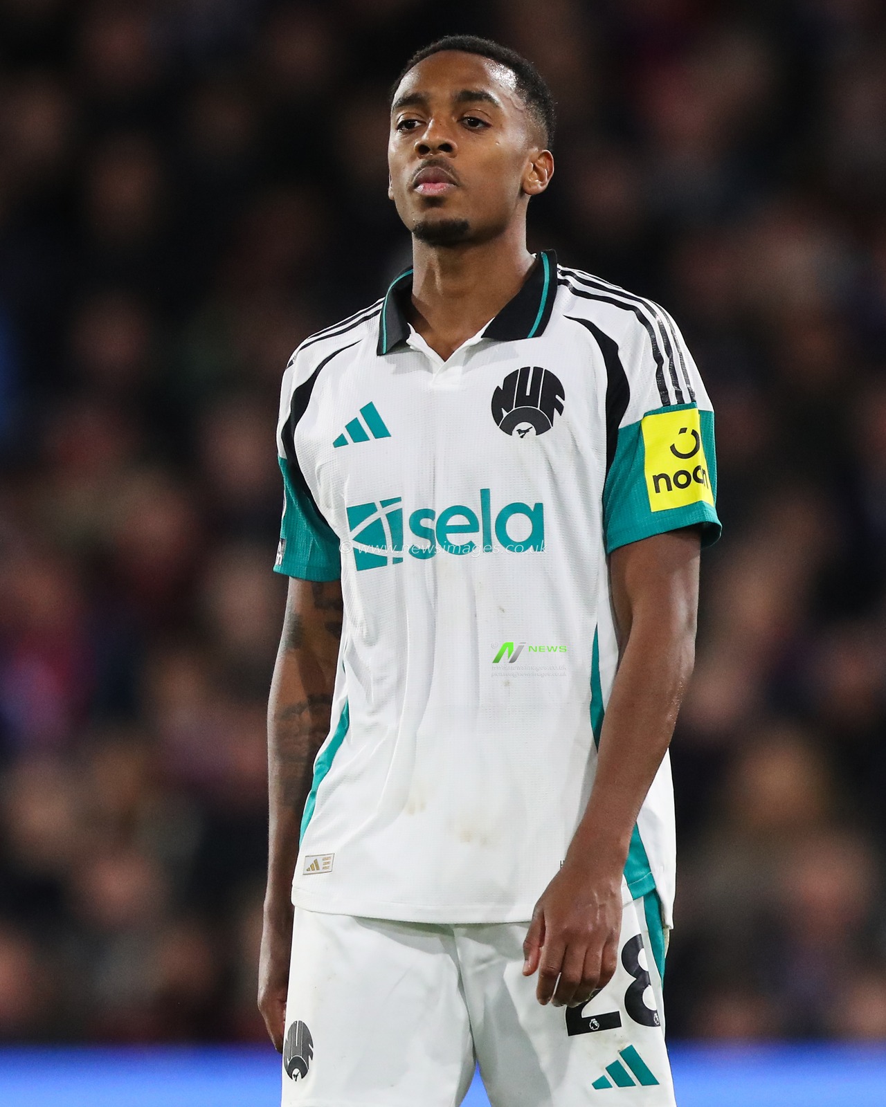 Joe Willock of Newcastle United during the Premier League match Crystal Palace vs Newcastle United at Selhurst Park, London, United Kingdom, 30th November 2024

(Photo by Gareth Evans/News Images)