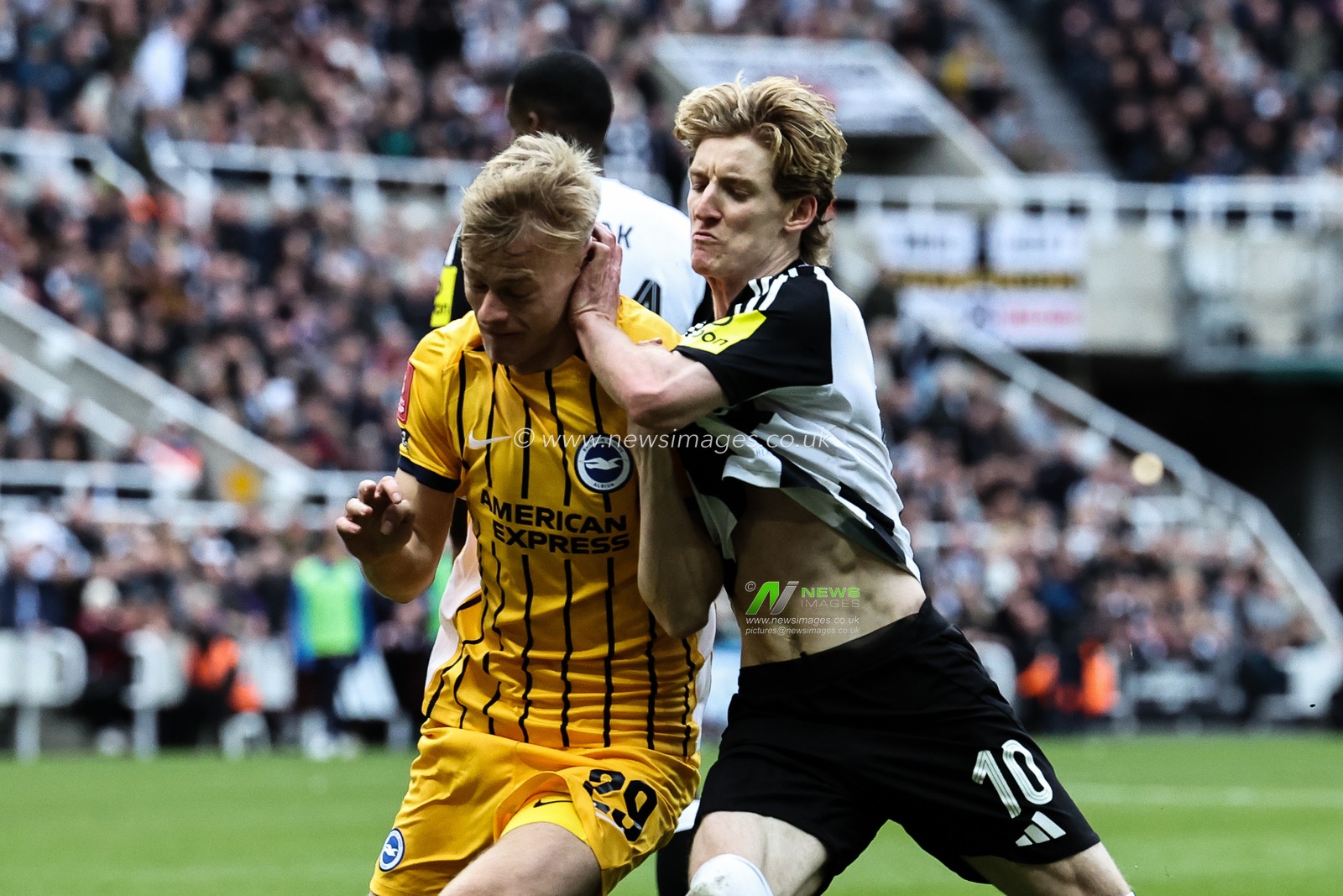 Anthony Gordon of Newcastle United pushes Jan Paul van Hecke of Brighton & Hove Albion in the head which leads to a straight red card during the Emirates FA Cup 5th Round Newcastle United vs Brighton and Hove Albion at St. James's Park, Newcastle, United Kingdom, 2nd March 2025

(Photo by Mark Cosgrove/News Images)