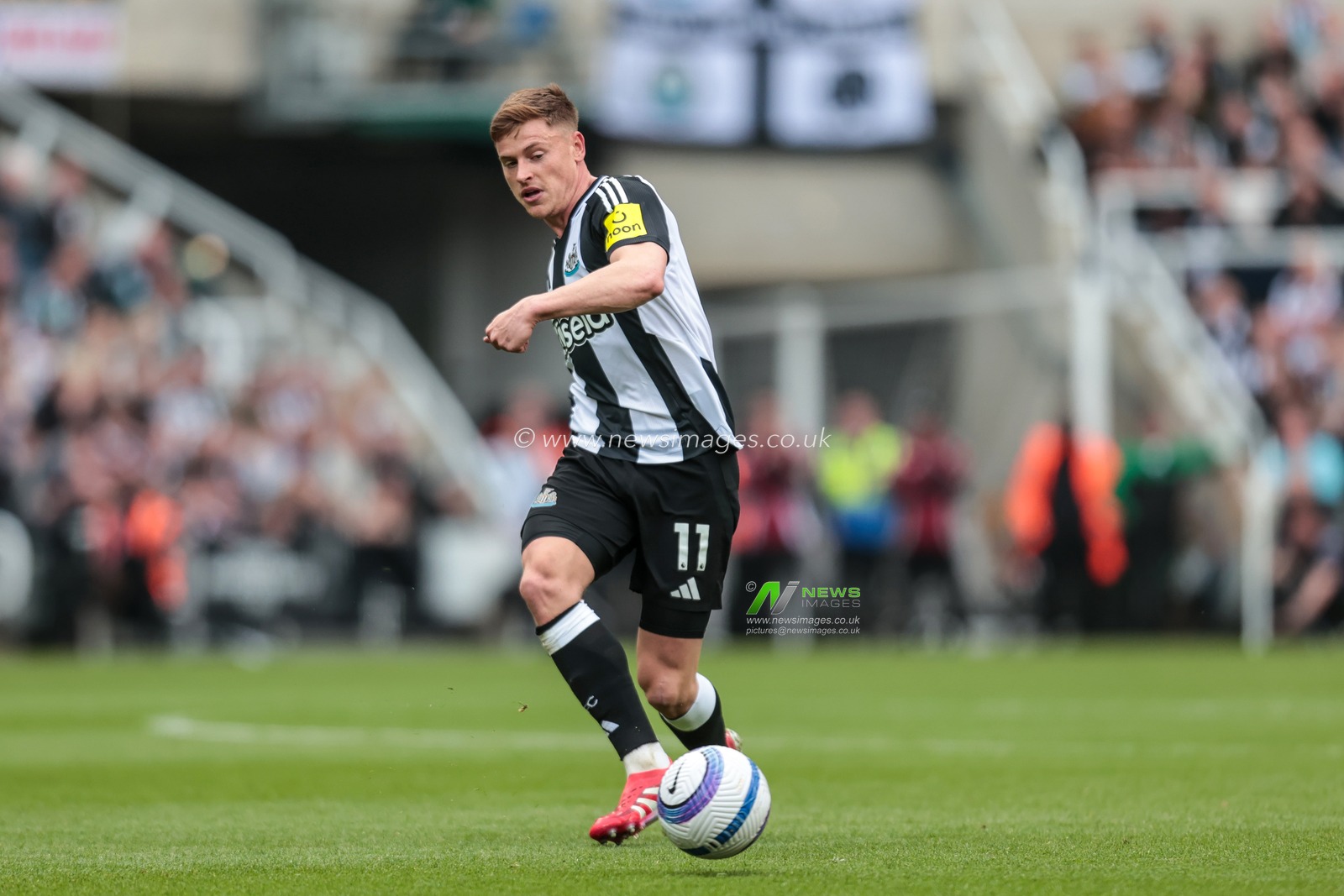 Harvey Barnes of Newcastle United passes the ball during the Premier League match Newcastle United vs Ipswich Town at St. James's Park, Newcastle, United Kingdom, 25th April 2025

(Photo by Richard Bierton/News Images)