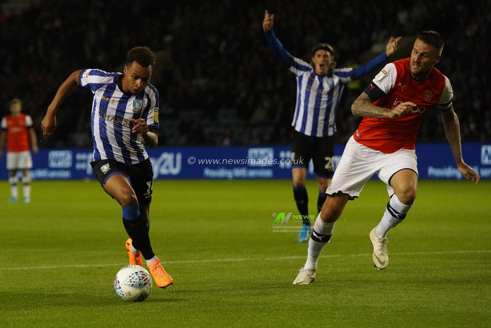 20th August 2019 , Hillsborough, Sheffield, England; Sky Bet Championship, Sheffield Wednesday vs Luton Town : Jacob Murphy (14) of Sheffield Wednesday  runs with the ball

Credit: Kurt Fairhurst/News Images,

English Football League images are subject to DataCo Licence