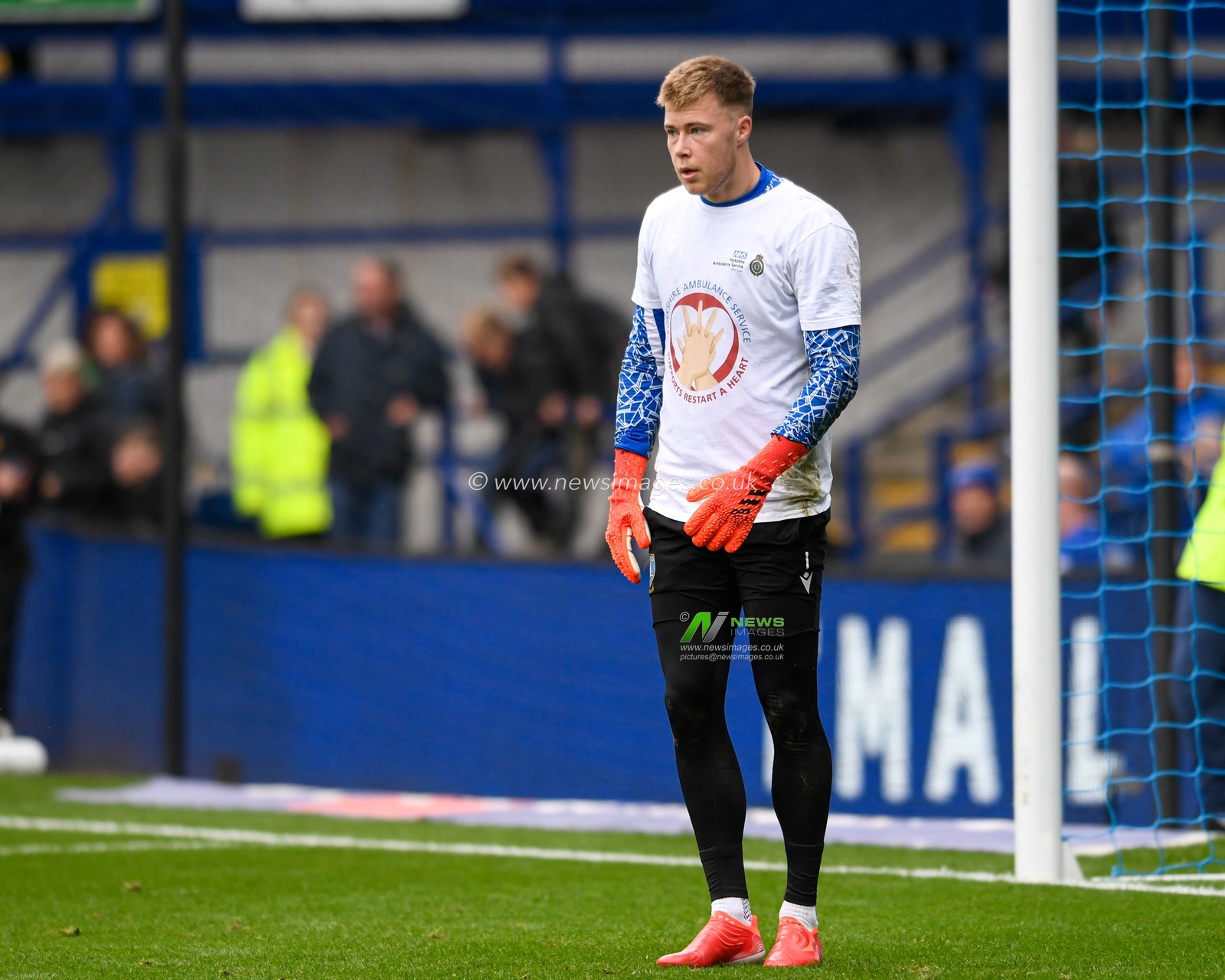 Bailey Peacock-Farrell #1 of Sheffield Wednesday warming up before the game