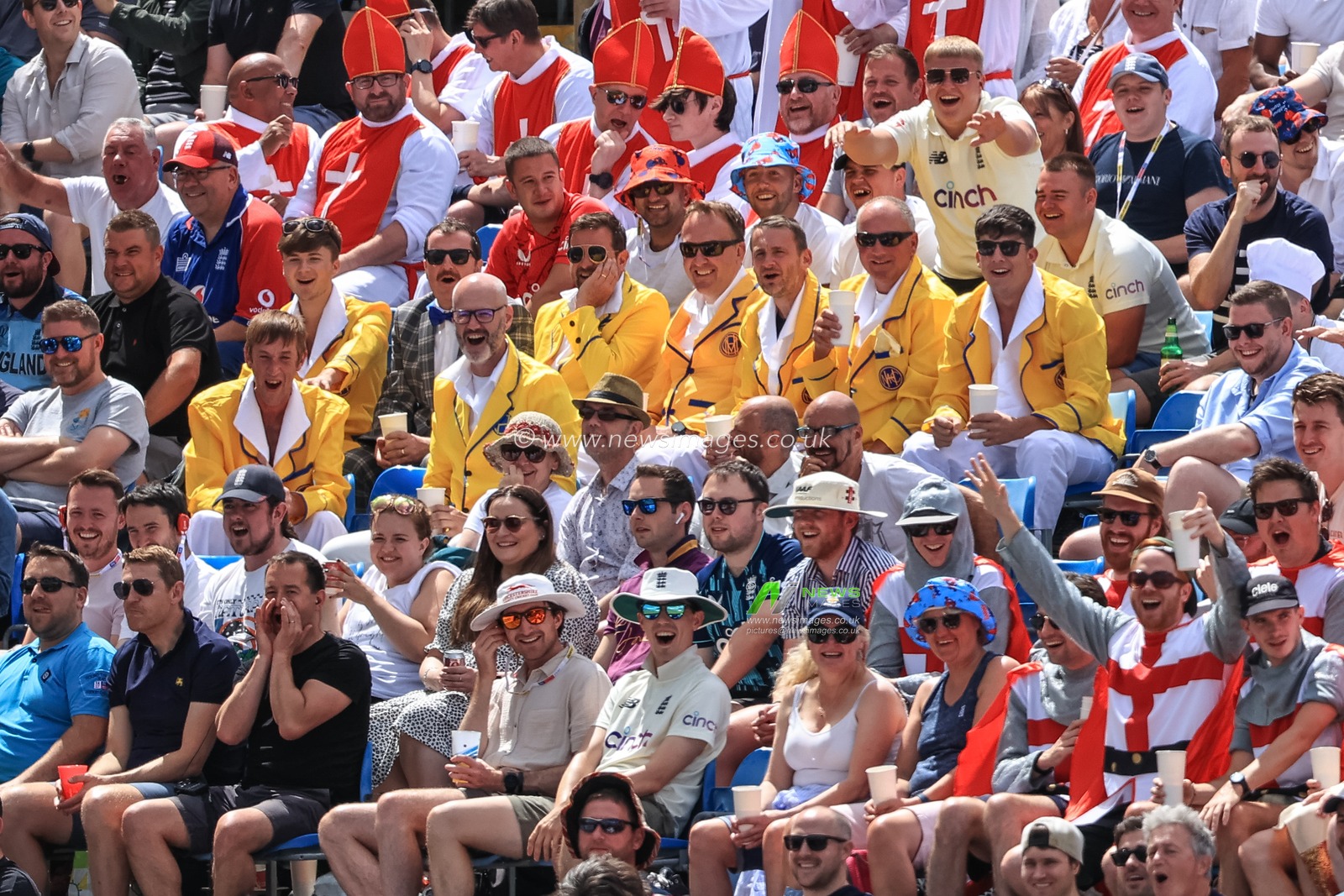 Fans dressed up for the occasion watch on as England take on New Zealand