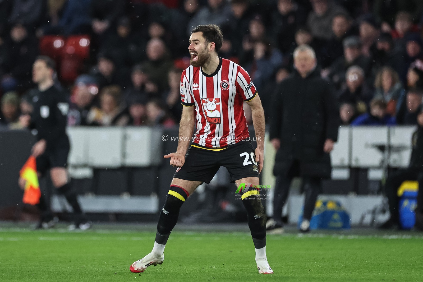 Ben Brereton DÃ­az of Sheffield United reacts during the Sky Bet Championship match Sheffield United vs Hull City at Bramall Lane, Sheffield, United Kingdom, 24th January 2025

(Photo by Mark Cosgrove/News Images)