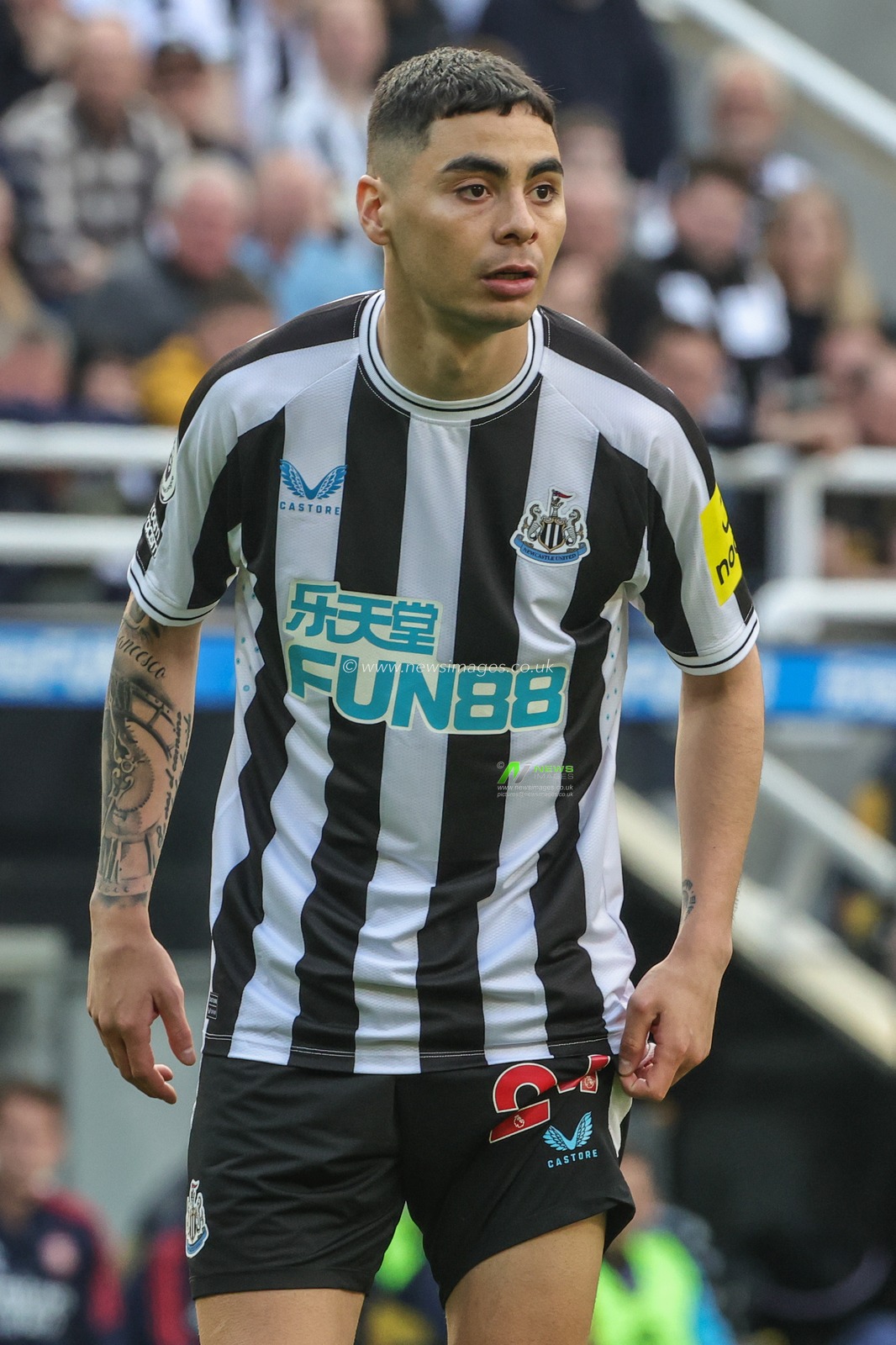 Miguel AlmirÃ³n #24 of Newcastle United during the Premier League match Newcastle United vs Arsenal at St. James's Park, Newcastle, United Kingdom, 7th May 2023

(Photo by Mark Cosgrove/News Images)