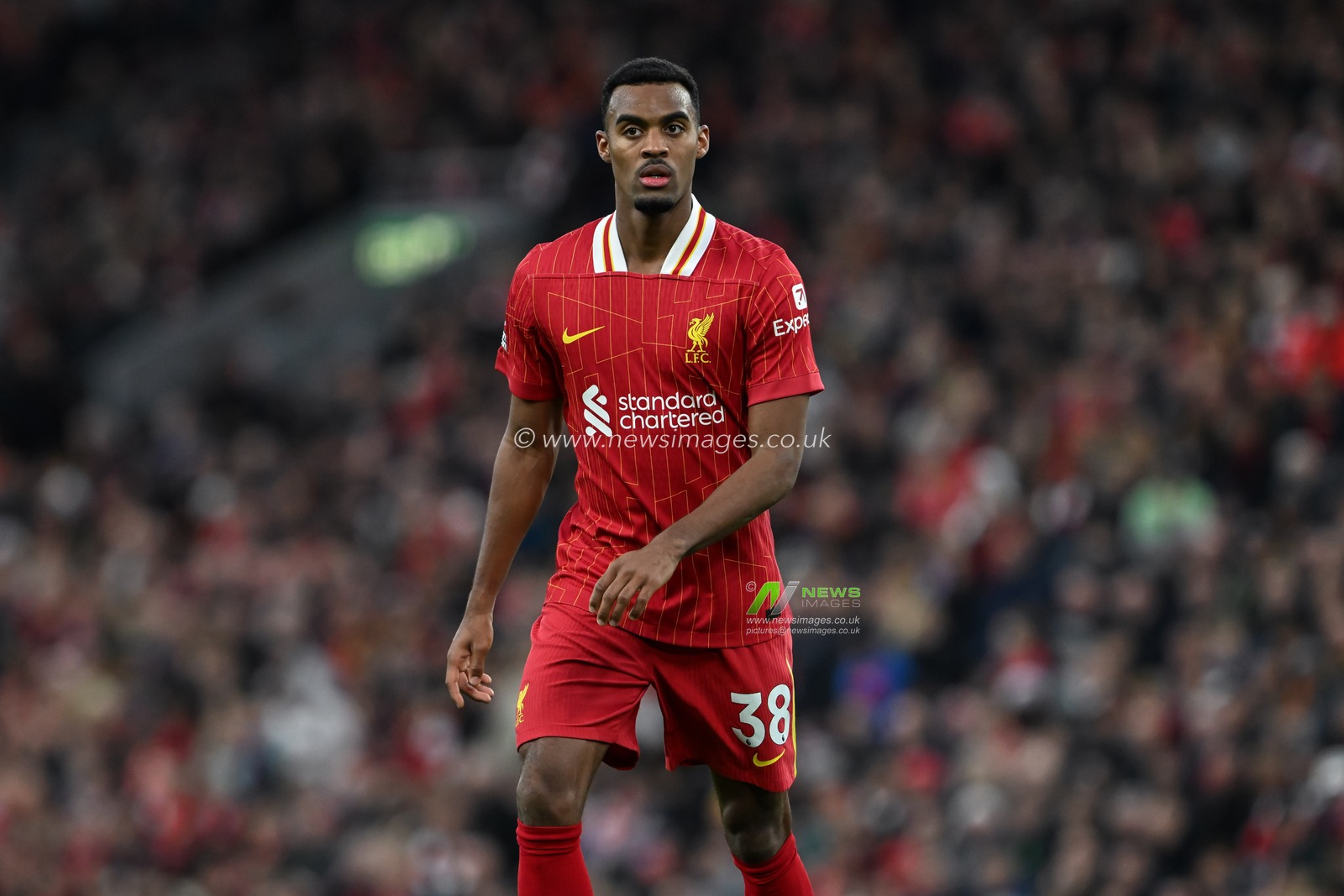 Ryan Gravenberch of Liverpool during the Premier League match Liverpool vs Brighton and Hove Albion at Anfield, Liverpool, United Kingdom, 2nd November 2024

(Photo by Cody Froggatt/News Images)