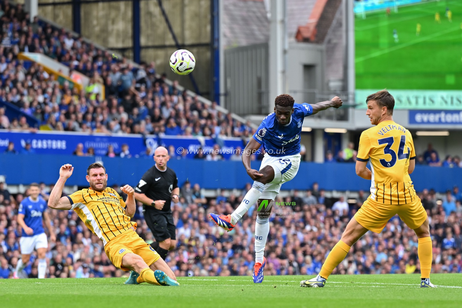 Tim Iroegbunam of Everton shoots on goal during the Premier League match Everton vs Brighton and Hove Albion at Goodison Park, Liverpool, United Kingdom, 17th August 2024

(Photo by Cody Froggatt/News Images)