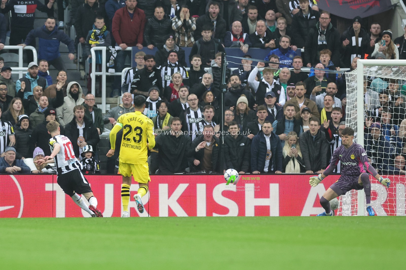 Anthony Gordon #10 of Newcastle United shoots on goal during the UEFA Champions League match Newcastle United vs Borussia Dortmund at St. James's Park, Newcastle, United Kingdom, 25th October 2023

(Photo by Mark Cosgrove/News Images)