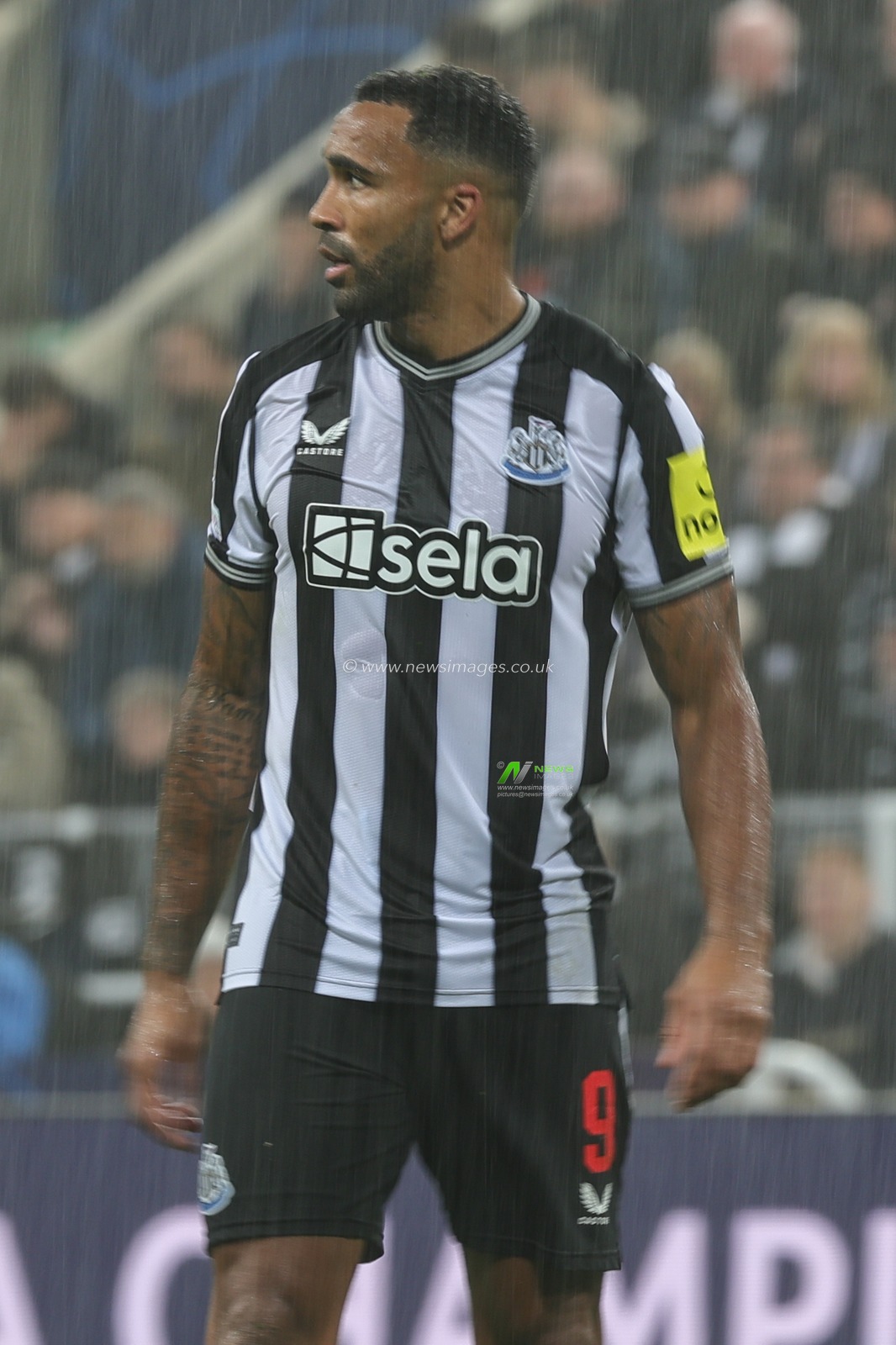 Callum Wilson #9 of Newcastle United during the UEFA Champions League match Newcastle United vs Borussia Dortmund at St. James's Park, Newcastle, United Kingdom, 25th October 2023

(Photo by Mark Cosgrove/News Images)