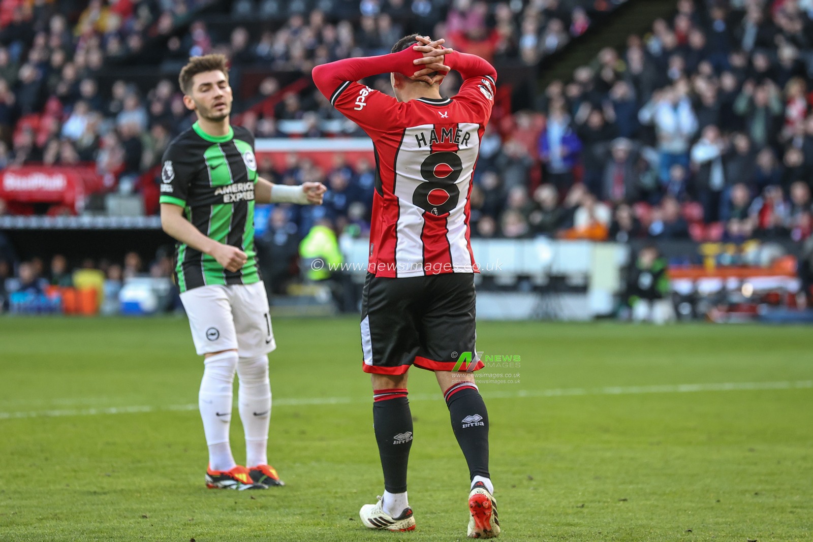 Gustavo Hamer of Sheffield United reacts after missing a shot on goal during the Premier League match Sheffield United vs Brighton and Hove Albion at Bramall Lane, Sheffield, United Kingdom, 18th February 2024

(Photo by Mark Cosgrove/News Images)