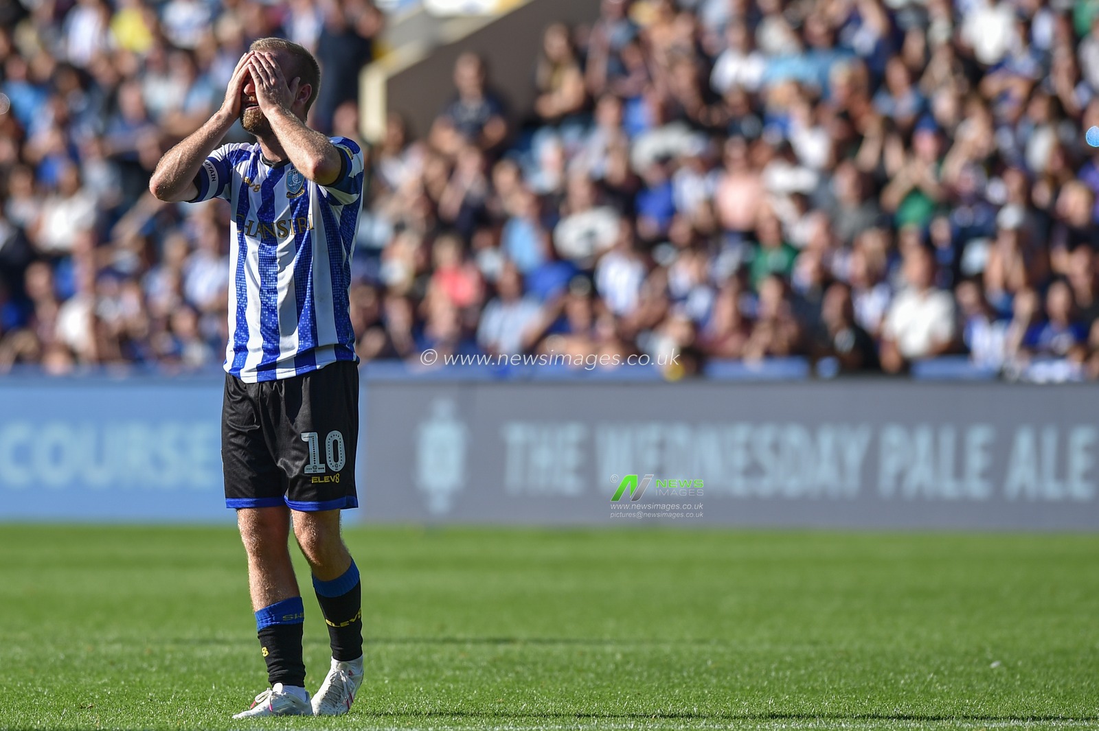 21st September 2019 , Hillsborough, Sheffield, England; Sky Bet Championship, Sheffield Wednesday vs Fulham : 
Credit: Dean Williams/News Images, Barry Bannan (10) of Sheffield Wednesday holds his head in his hands.

English Football League images are subject to DataCo Licence