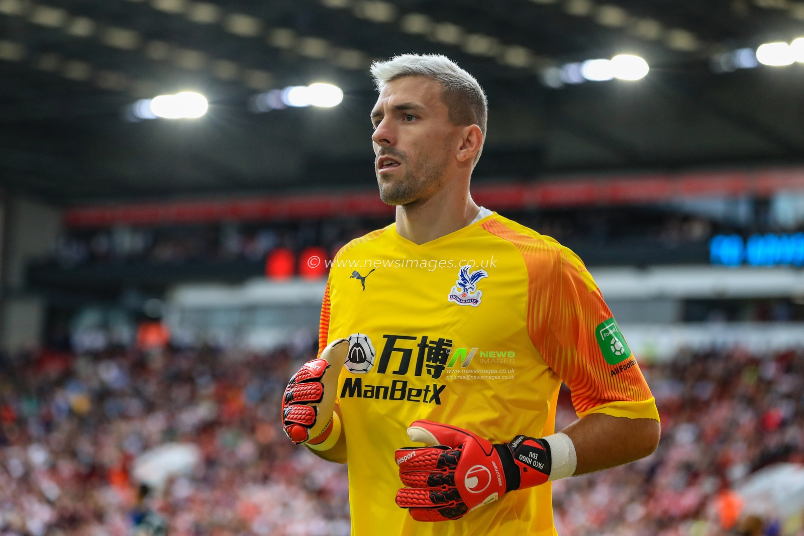 18th August 2019 , Bramall Lane, Sheffield, England; Premier League Football, Sheffield United vs Crystal Palace ; Vicente Guaita (31) of Crystal Palace during the game


Credit: Mark Cosgrove/News Images

English Football League images are subject to DataCo Licence
