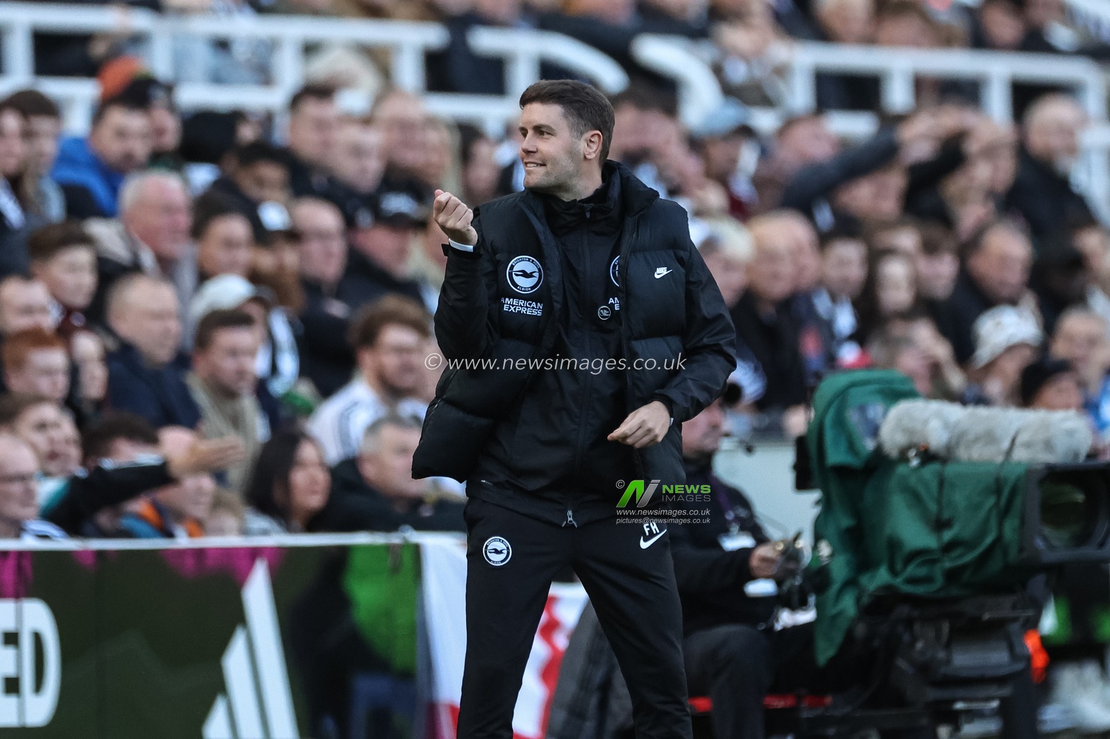 Fabian HÃ¼rzeler manager of Brighton & Hove Albion reacts in the technical area during the Premier League match Newcastle United vs Brighton and Hove Albion at St. James's Park, Newcastle, United Kingdom, 19th October 2024

(Photo by Mark Cosgrove/News Images)