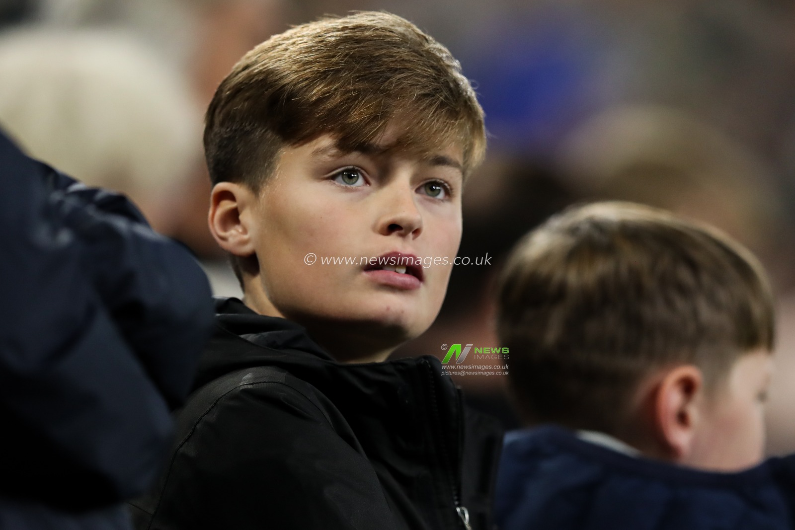 Fulham fan dejected during the Premier League match Everton vs Fulham at Hill Dickinson Stadium, Liverpool, United Kingdom, 8th November 2025

(Photo by Jorge Horsted/News Images)

*** GER AUT SUI OUT ***