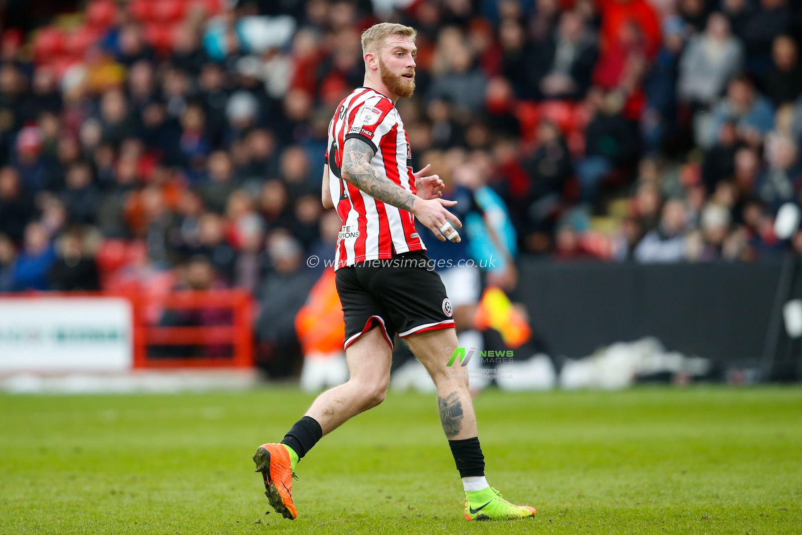 Oliver McBurnie #9 of Sheffield United during the Sky Bet Championship match Sheffield United vs Luton Town at Bramall Lane, Sheffield, United Kingdom, 11th March 2023

(Photo by Ben Early/News Images)