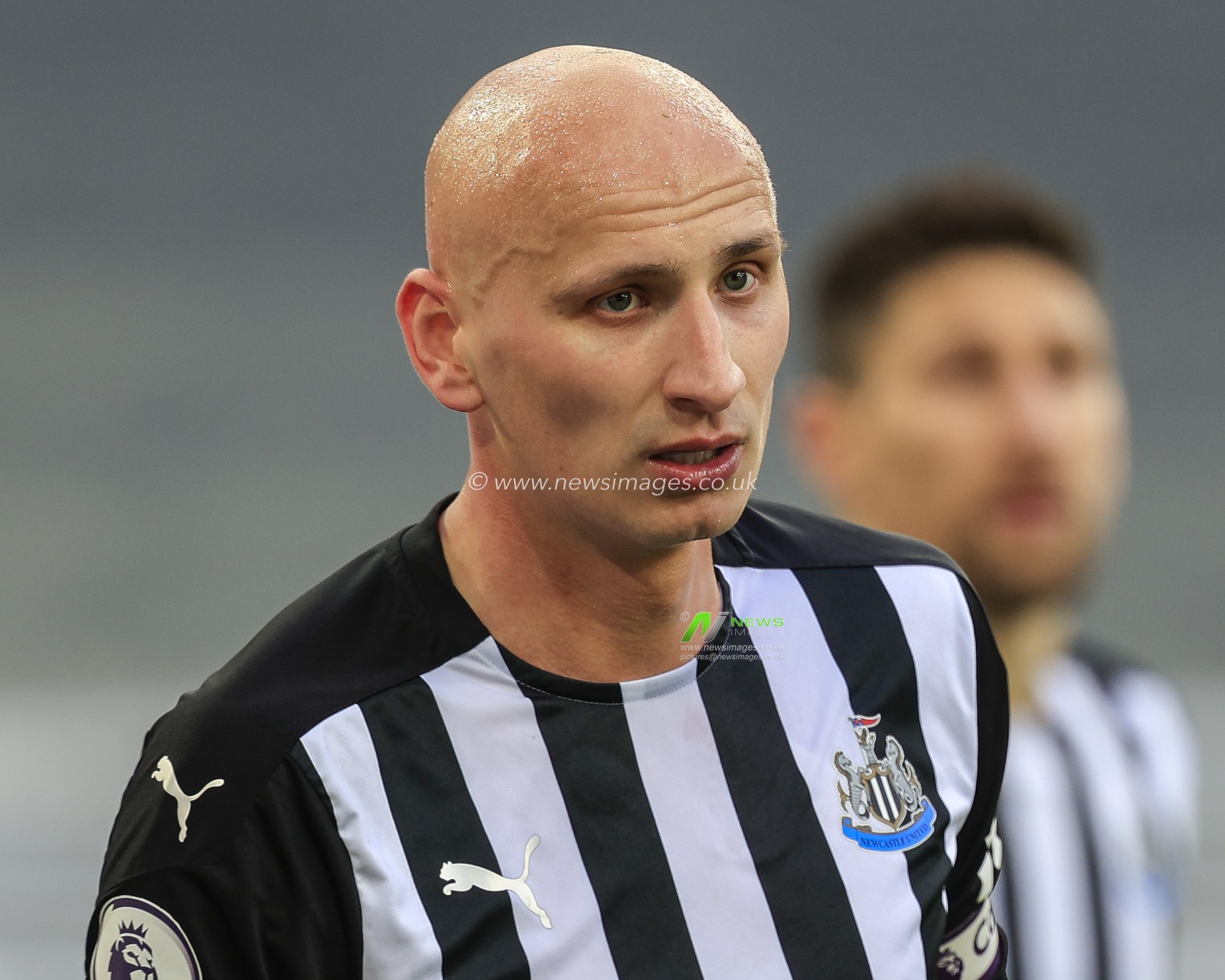 Jonjo Shelvey #8 of Newcastle United during the game