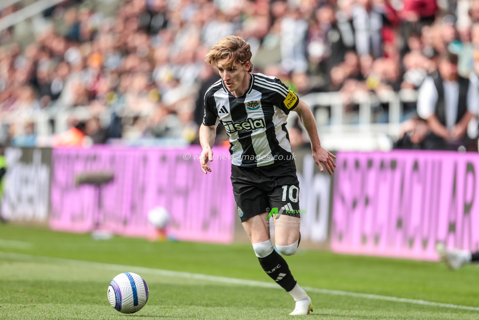 during the Premier League match Newcastle United vs Ipswich Town at St. James's Park, Newcastle, United Kingdom, 25th April 2025

(Photo by Richard Bierton/News Images)
