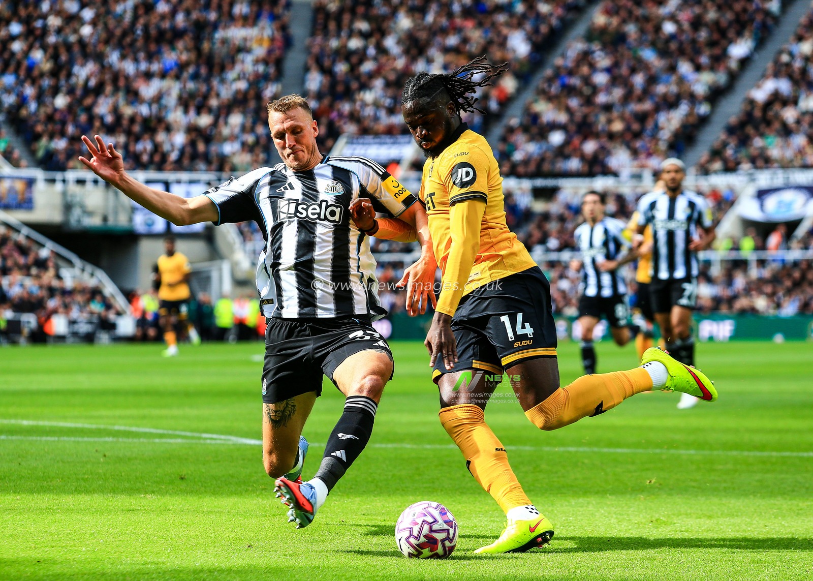 Dan Burn of Newcastle United blocks shot from Tolu Arokodare of Wolverhampton Wanderers during the Premier League match Newcastle United vs Wolverhampton Wanderers at St. James's Park, Newcastle, United Kingdom, 13th September 2025

(Photo by Richard Bierton/News Images)